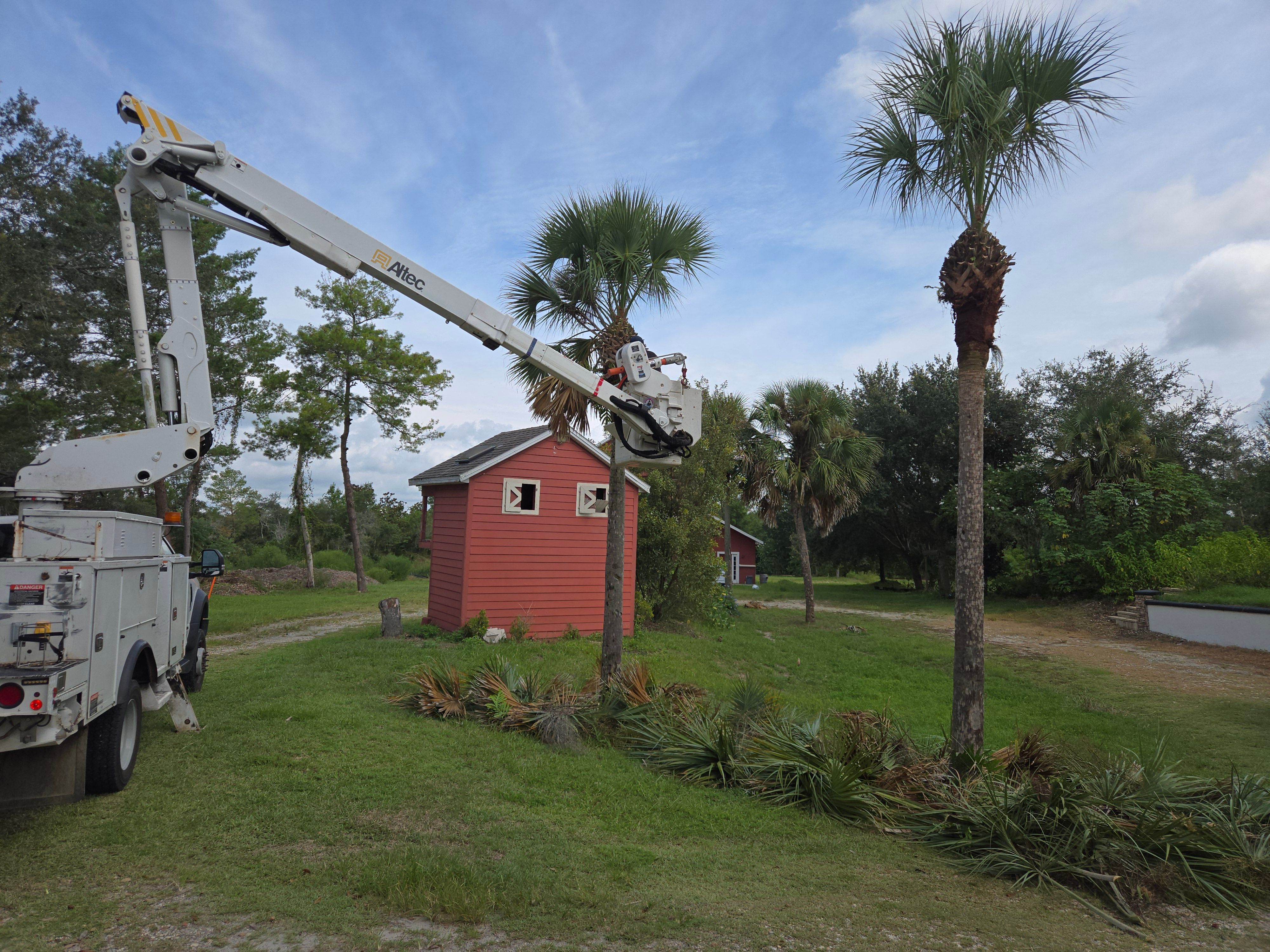 All Photos for Near Me Tree Service, Inc. in DeLand, FL