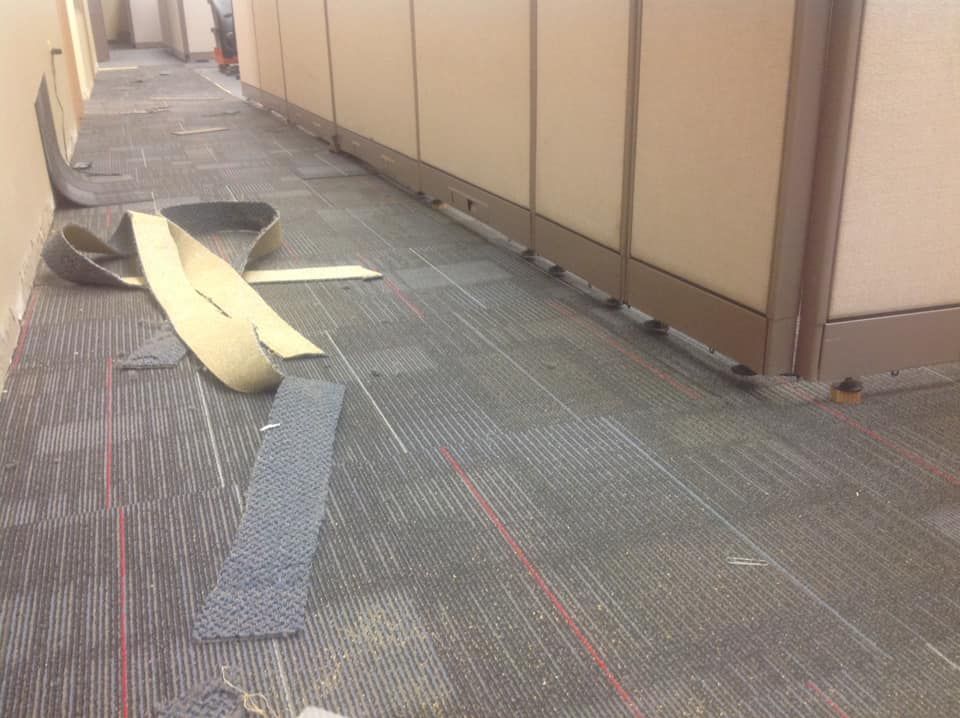  for A Carpet Guy Floors in Baltimore, MD