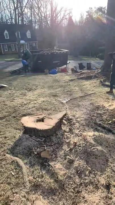  for Integrity Tree and Landscaping in Lynchburg, VA