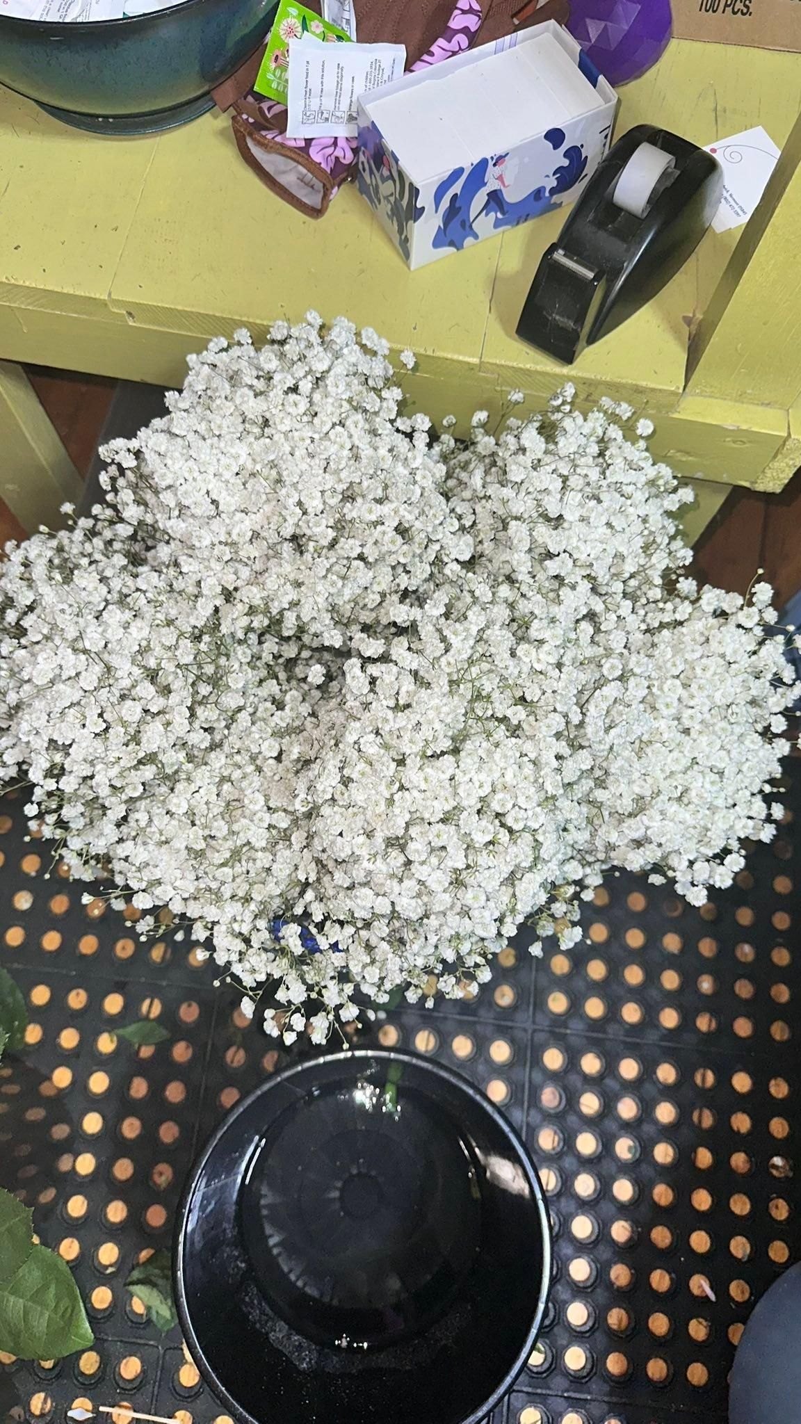  for The Dailey Daisy in Hardwick, VT