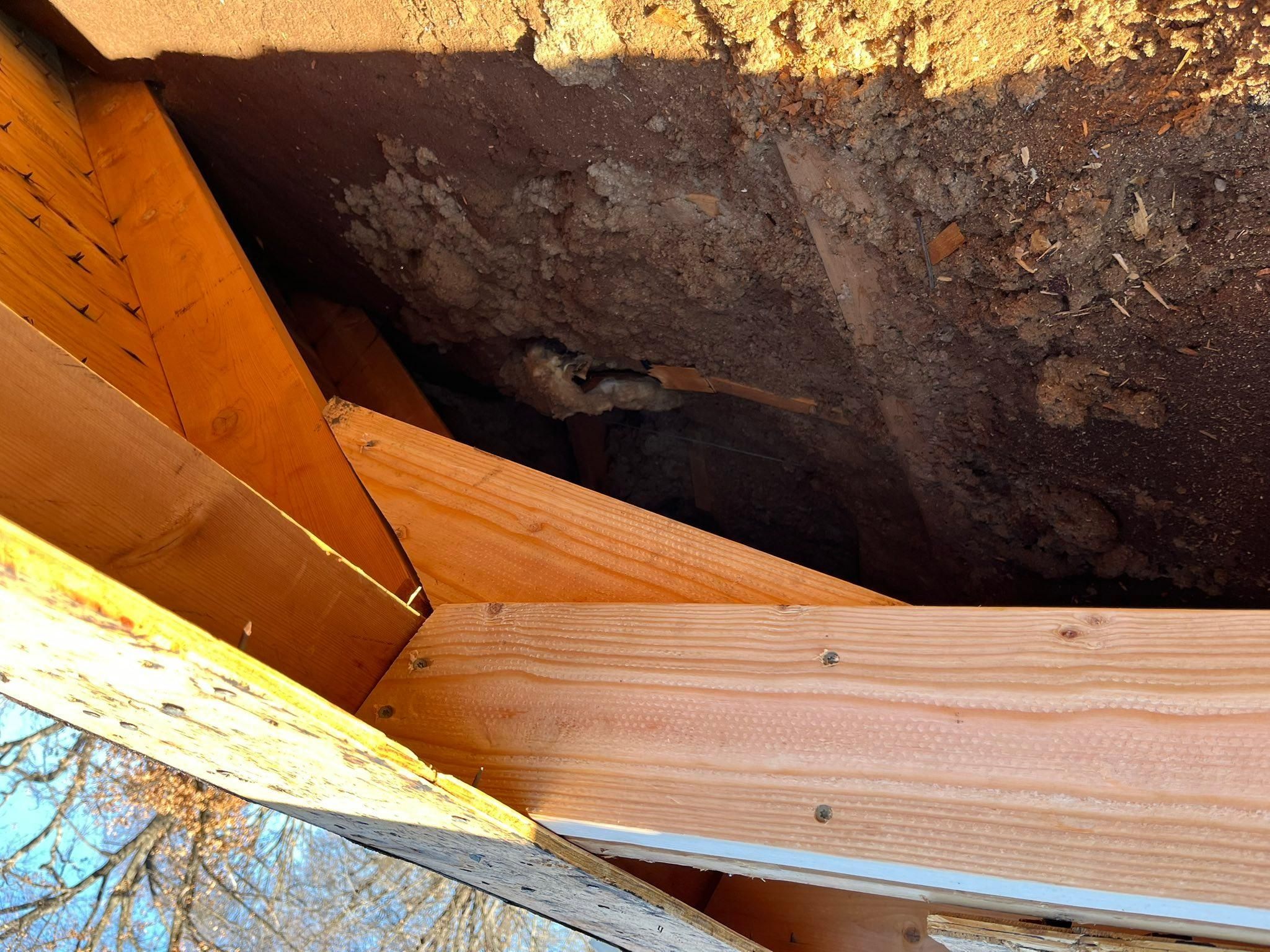 All Photos for Full Roof Replacement and Repairs in Saint Joseph, MO