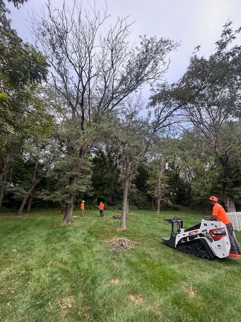 All Photos for Cross Family Tree Service in Kearney, MO
