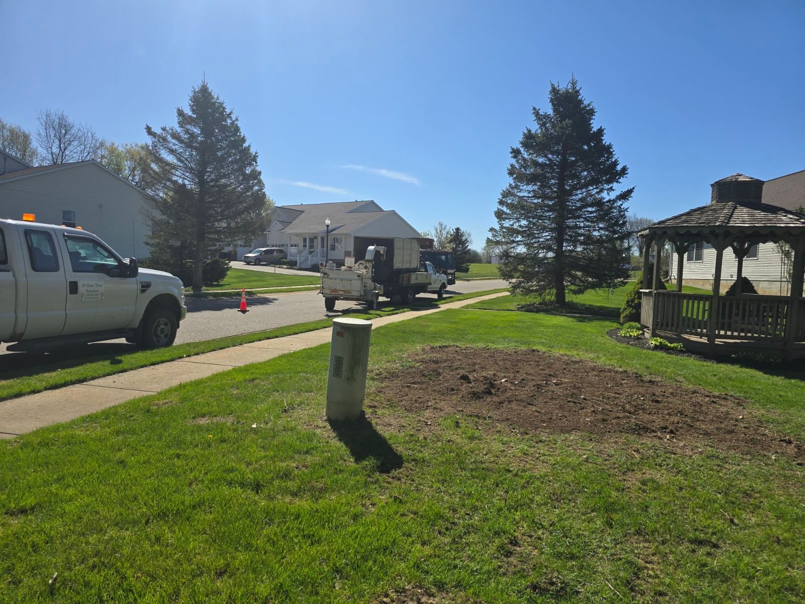  for D Hale Tree Service in Dexter, MI