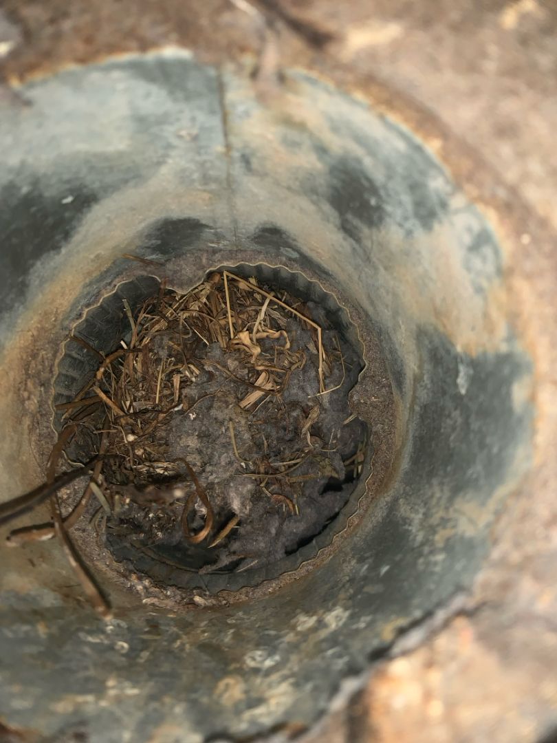 All Photos for Soapy Suds Services in St. Charles, IL