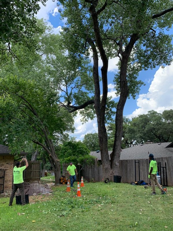  for TLC Professional Tree Service in Bedford, TX