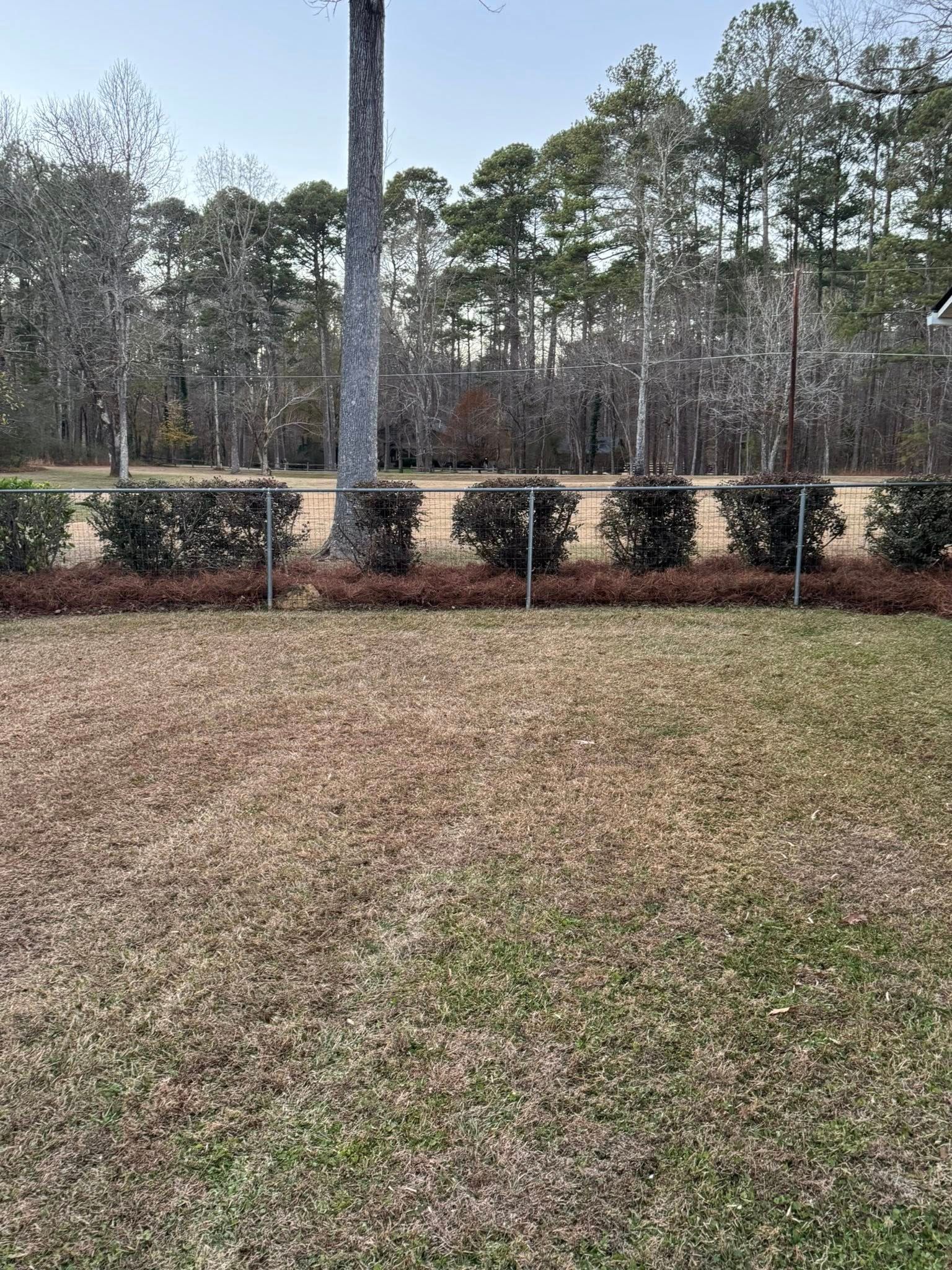  for Sunrise Lawn Service LLC in Athens, Georgia