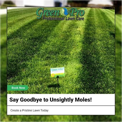  for Green Pro Lawn Care in Greensboro, NC