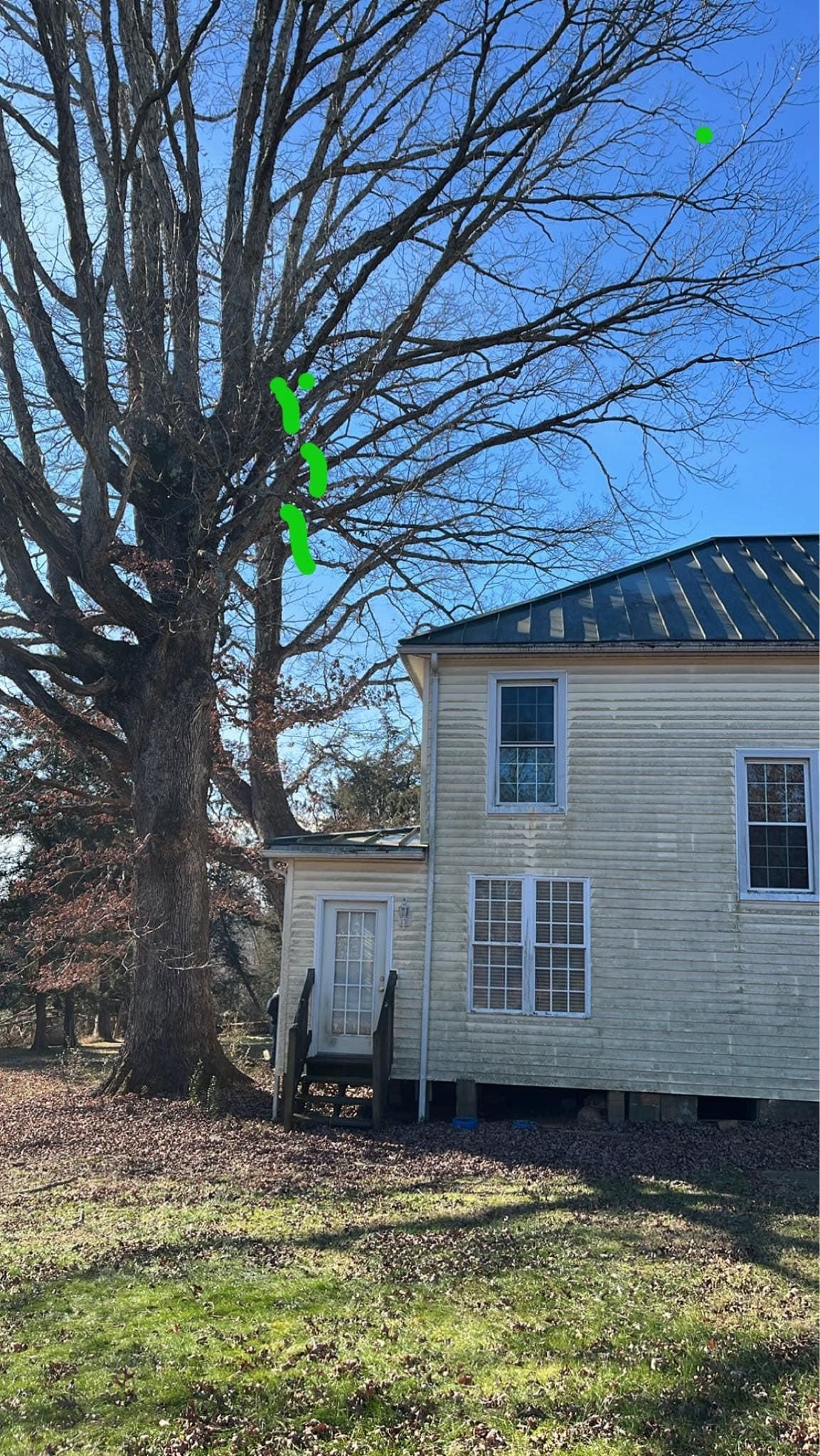  for Ricky's Tree Service & Property Care in Orange, VA