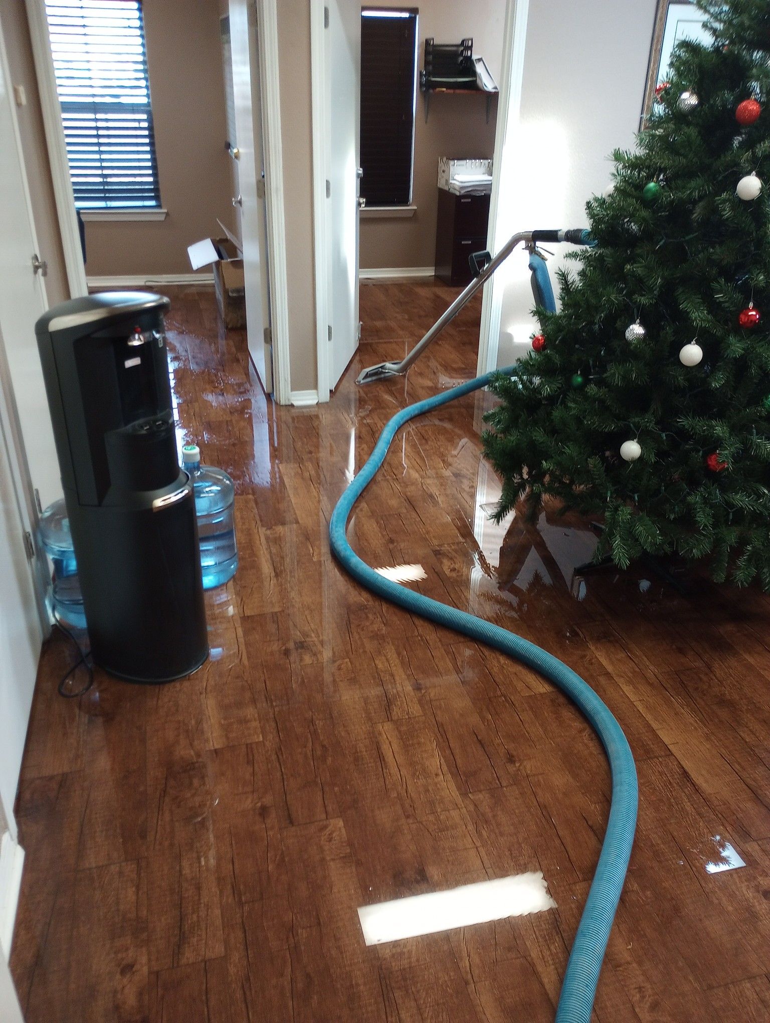 All Photos for Steam Team Restoration and Cleaning in Amarillo, TX