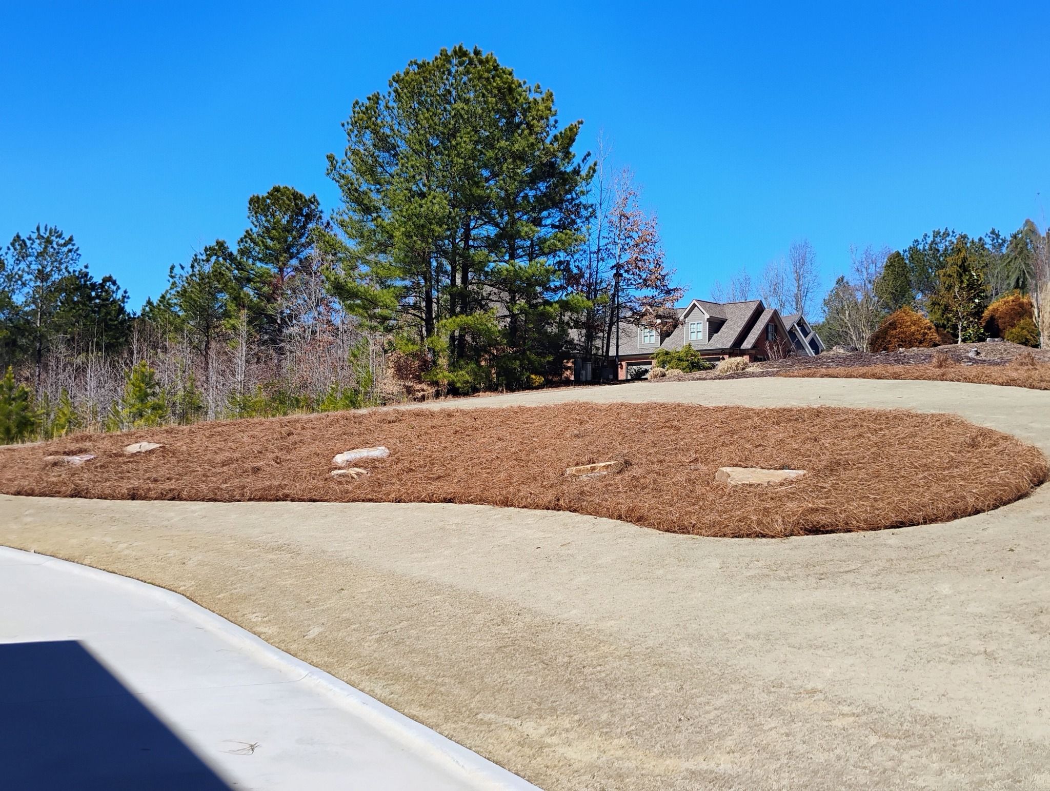 All Photos for BAM Another Pinestraw Lot in Flowery Branch, GA