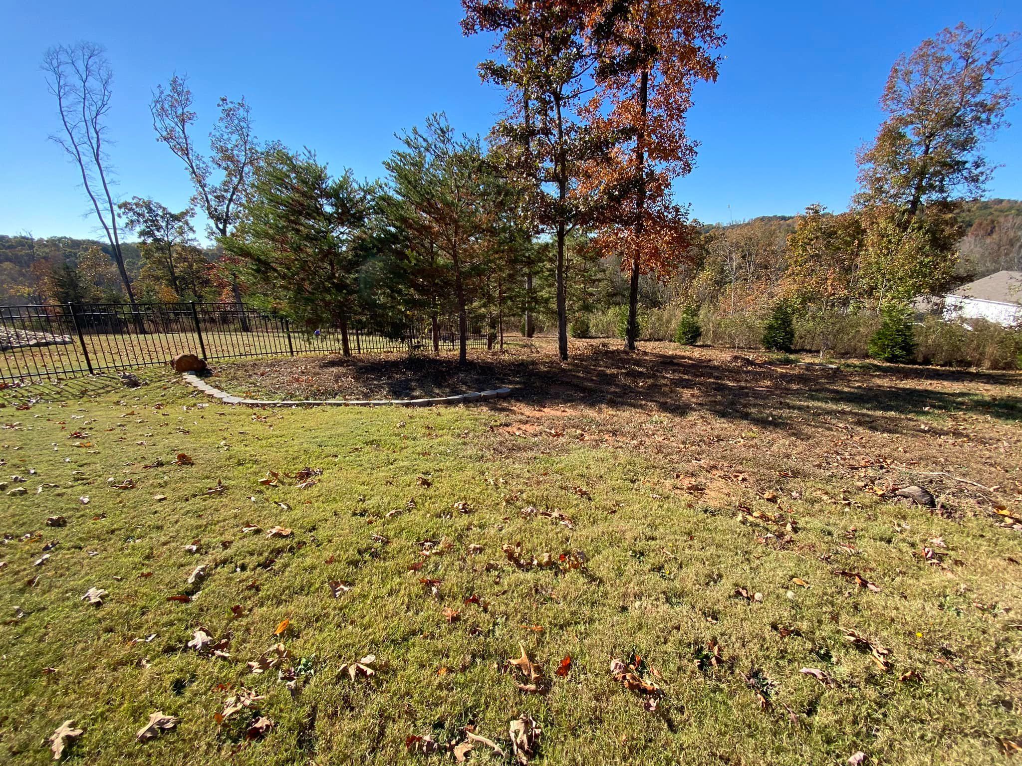  for Down To Earth Tree and Landscaping in Greenville, SC