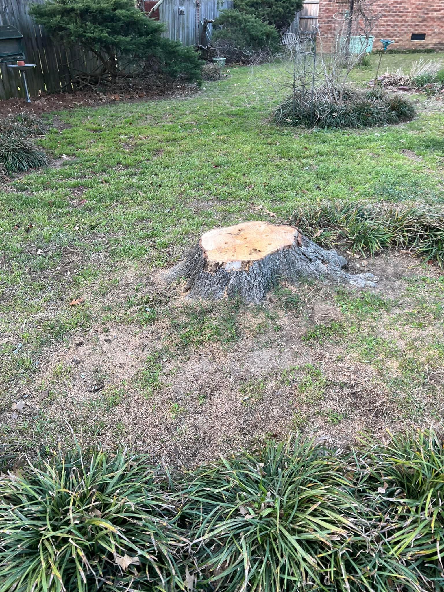  for Shang's Landscaping Service in Columbia, South Carolina