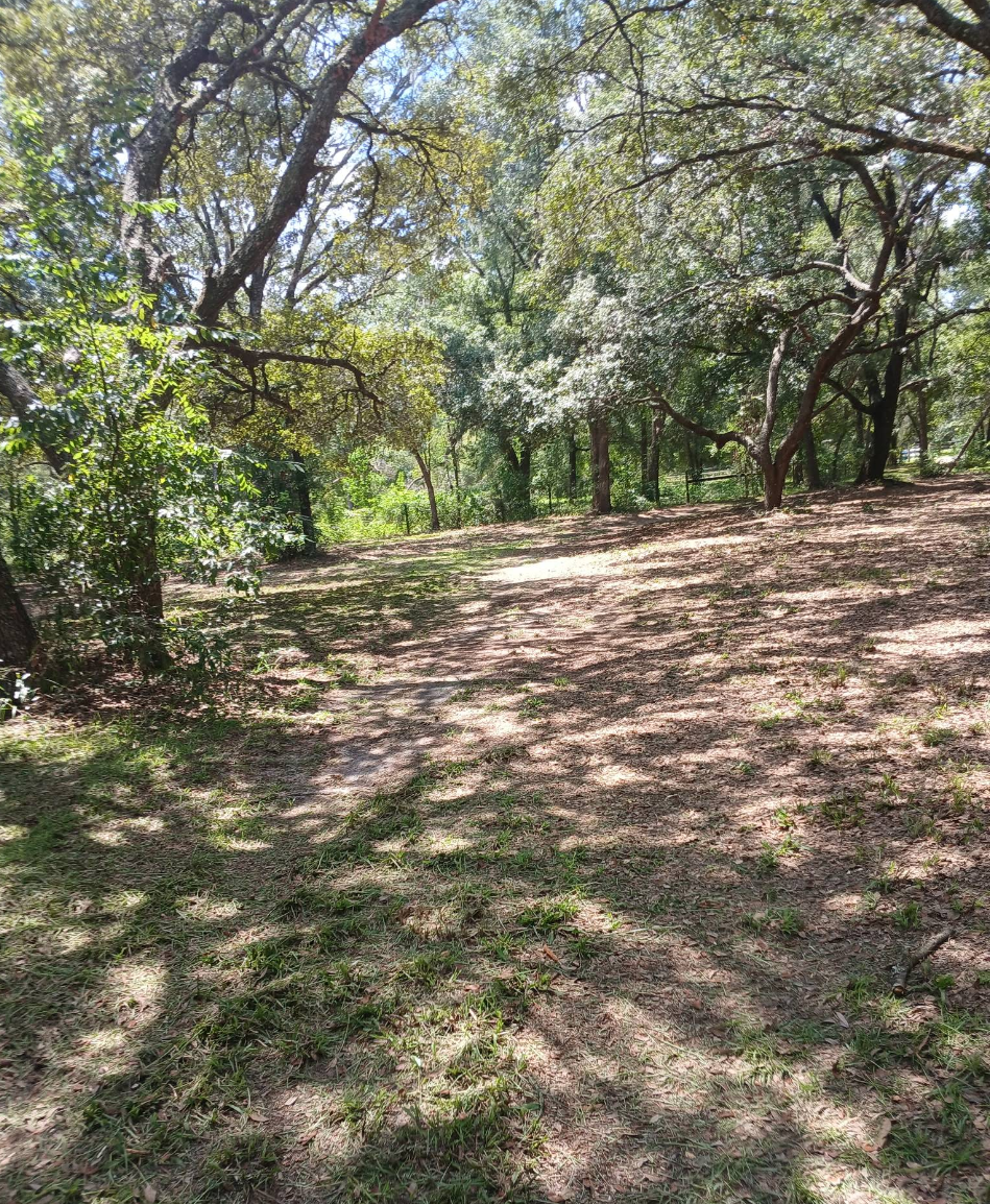 All Photos for Aztec Land Destroyers LLC in Ocala, FL