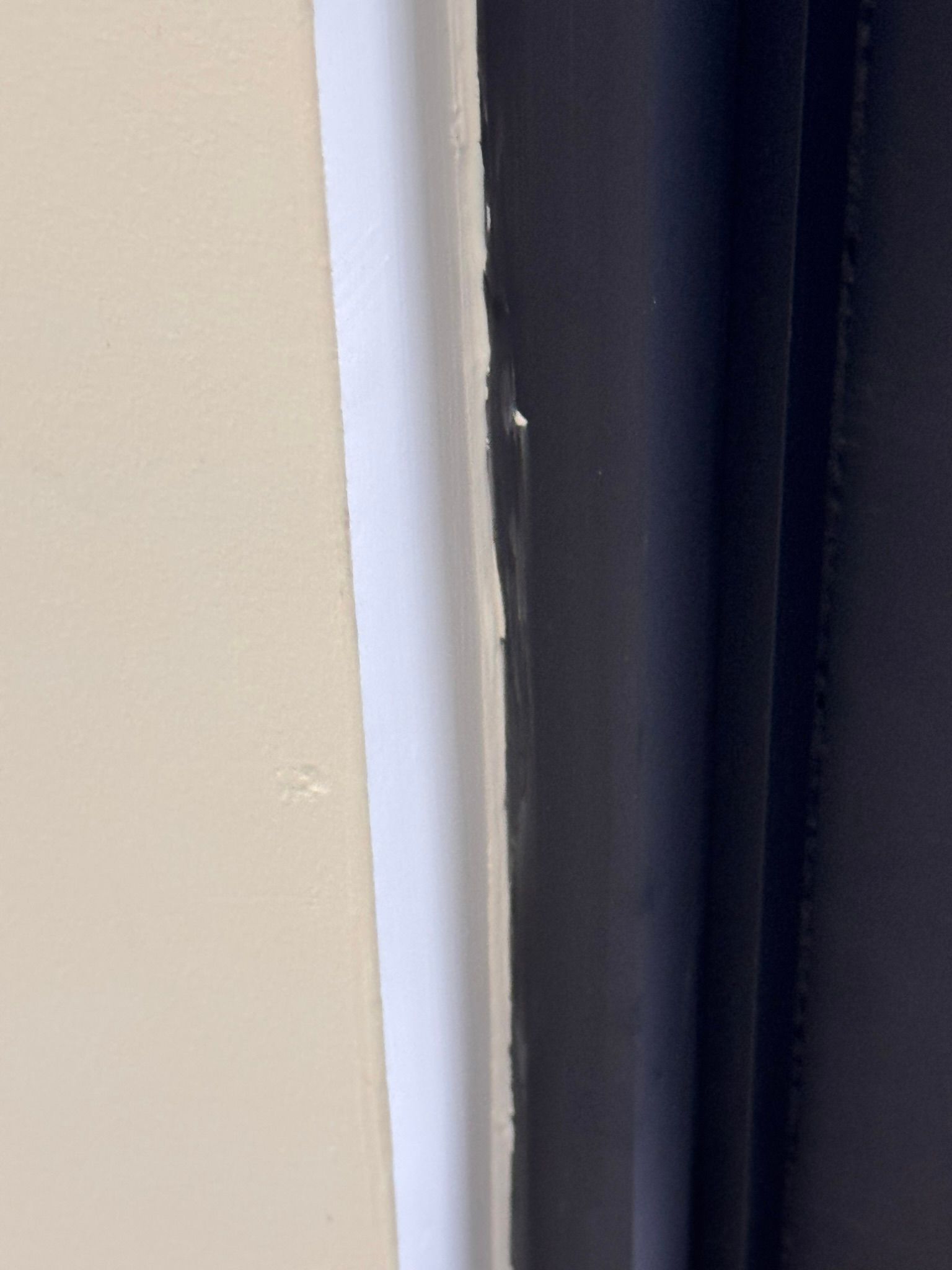  for Tony's Remodeling & Painting in Renton, WA