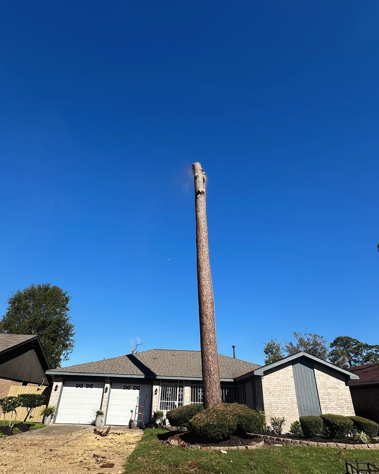  for C&B Ramos Tree Service in Houston, TX