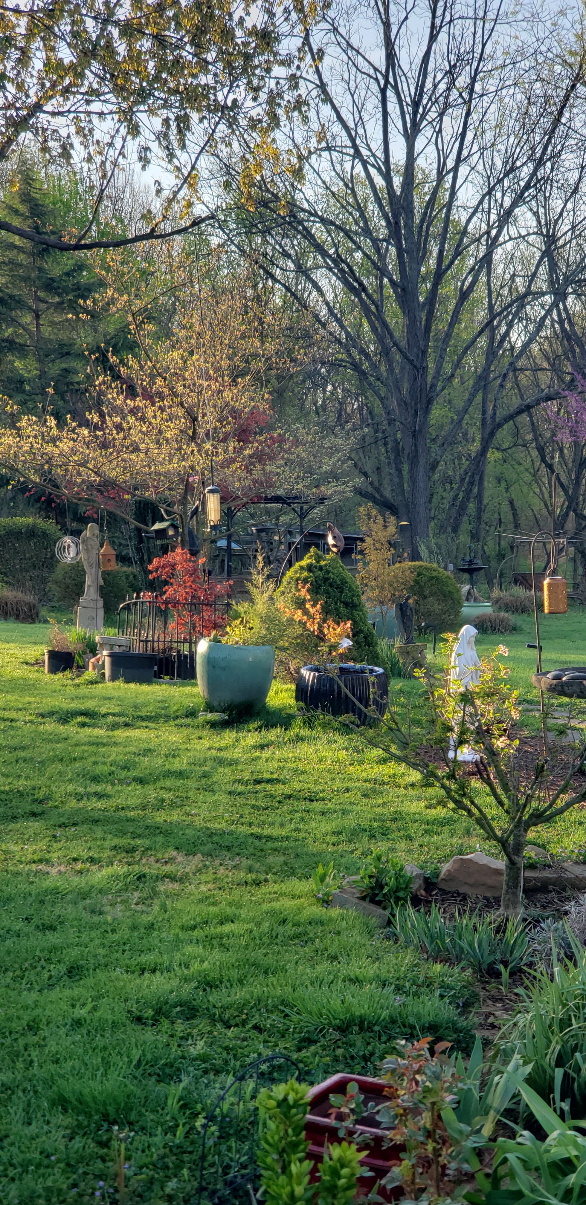  for Clean Cut Lawns & Landscaping in Dickerson, MD
