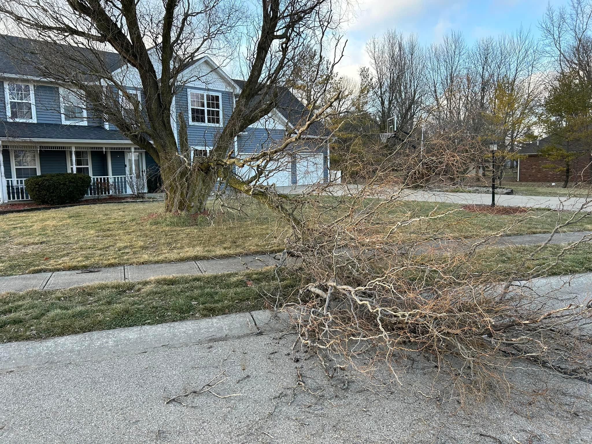  for Bearforce Lawn Care LLC in Greenfield, IN