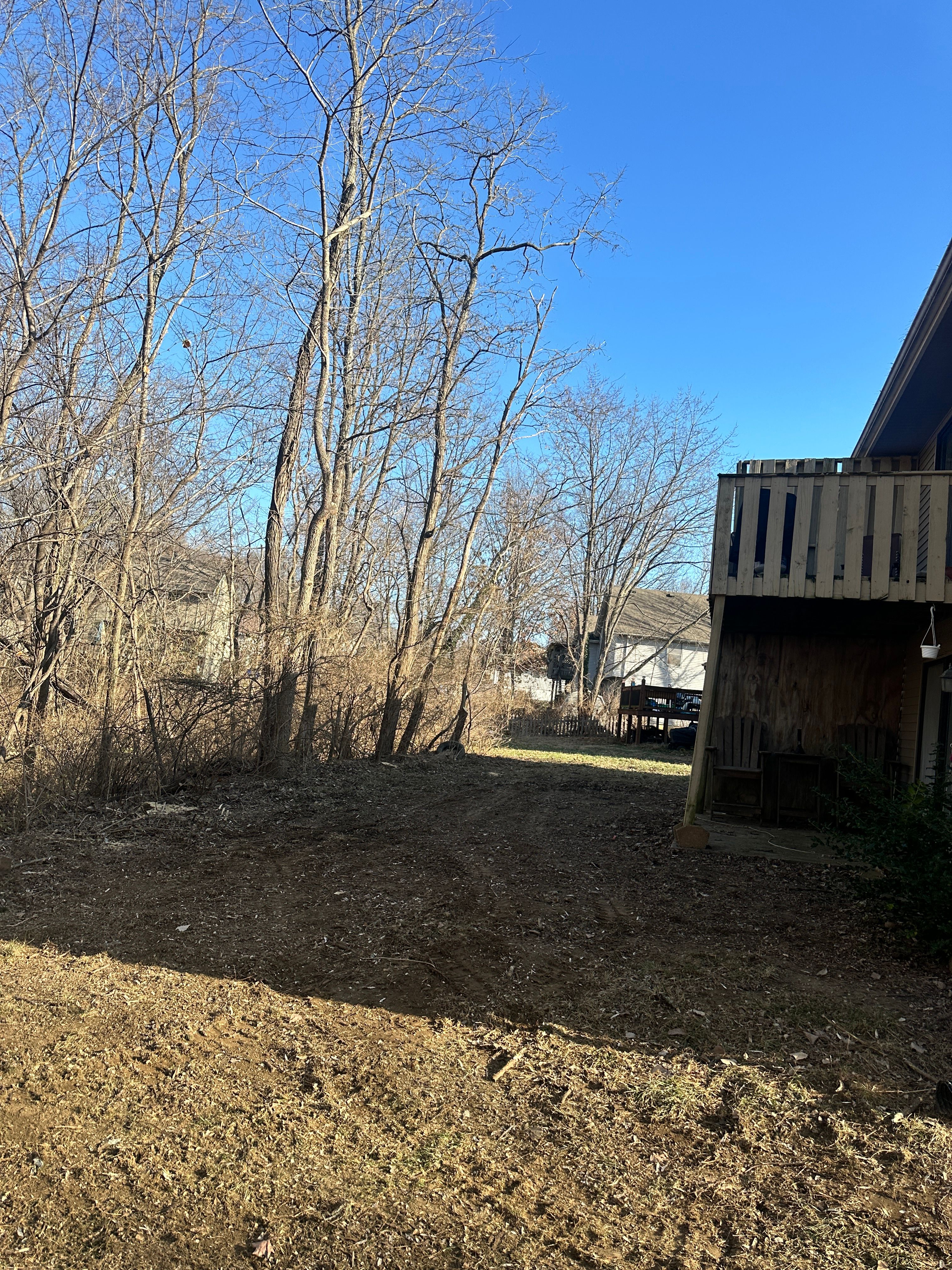 All Photos for Cross Family Tree Service in Kearney, MO