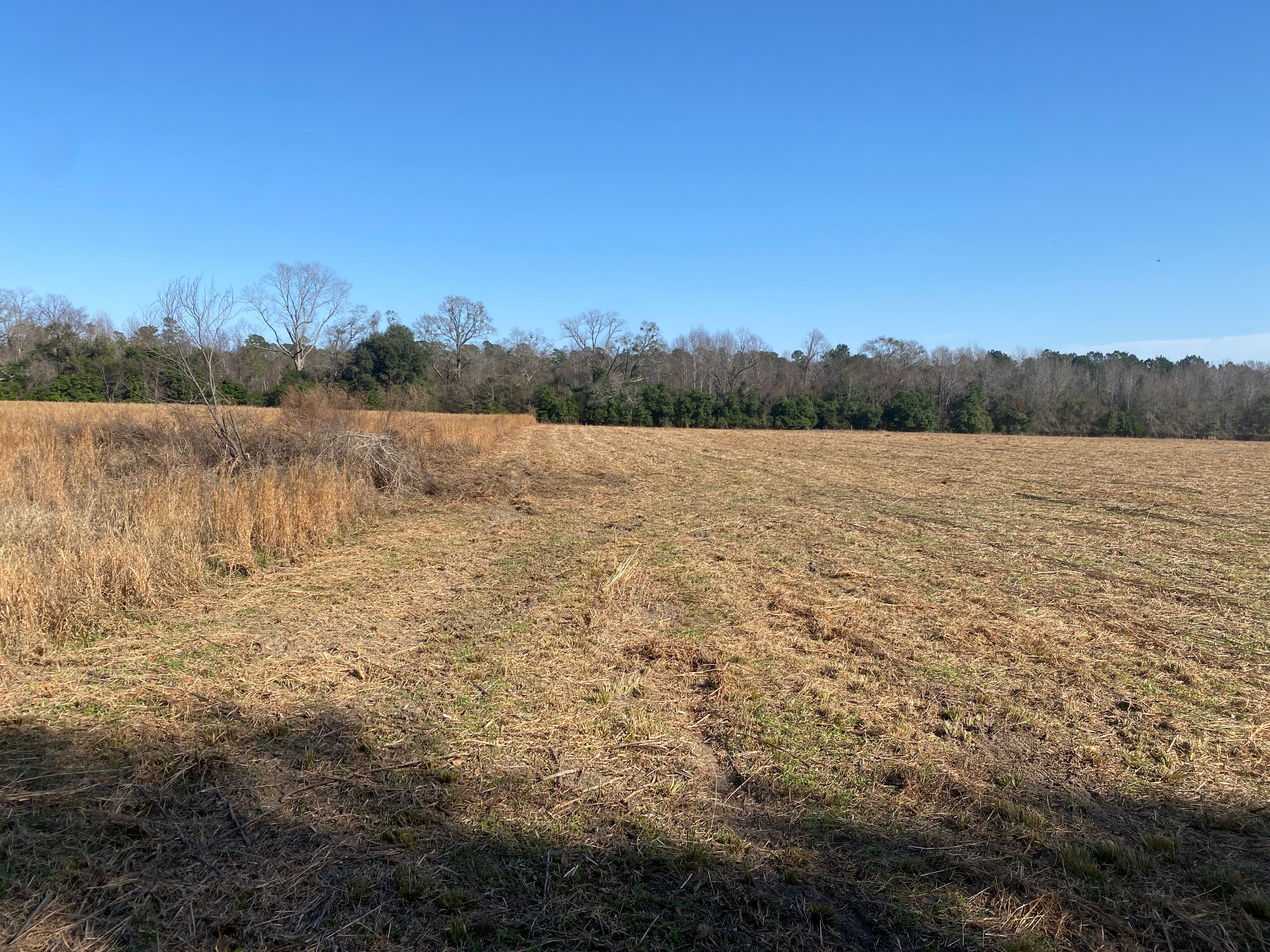  for T&S Land Management Services in Effingham County, GA