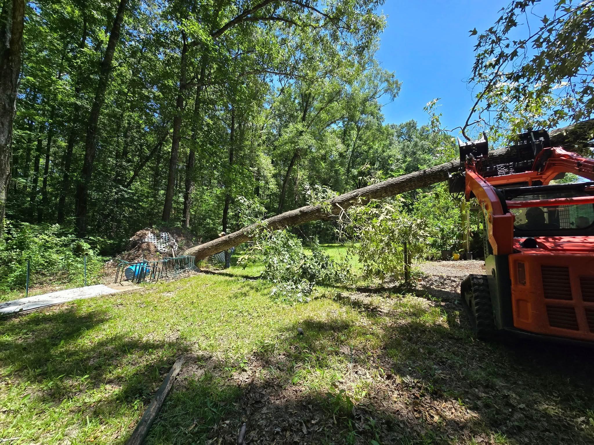  for Breaktime Tree Trimming & Removal in Oakdale, LA