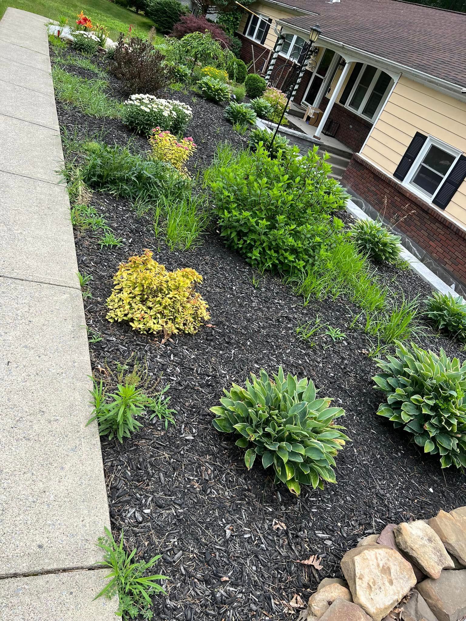  for HVQ Landscaping in Albany,  NY