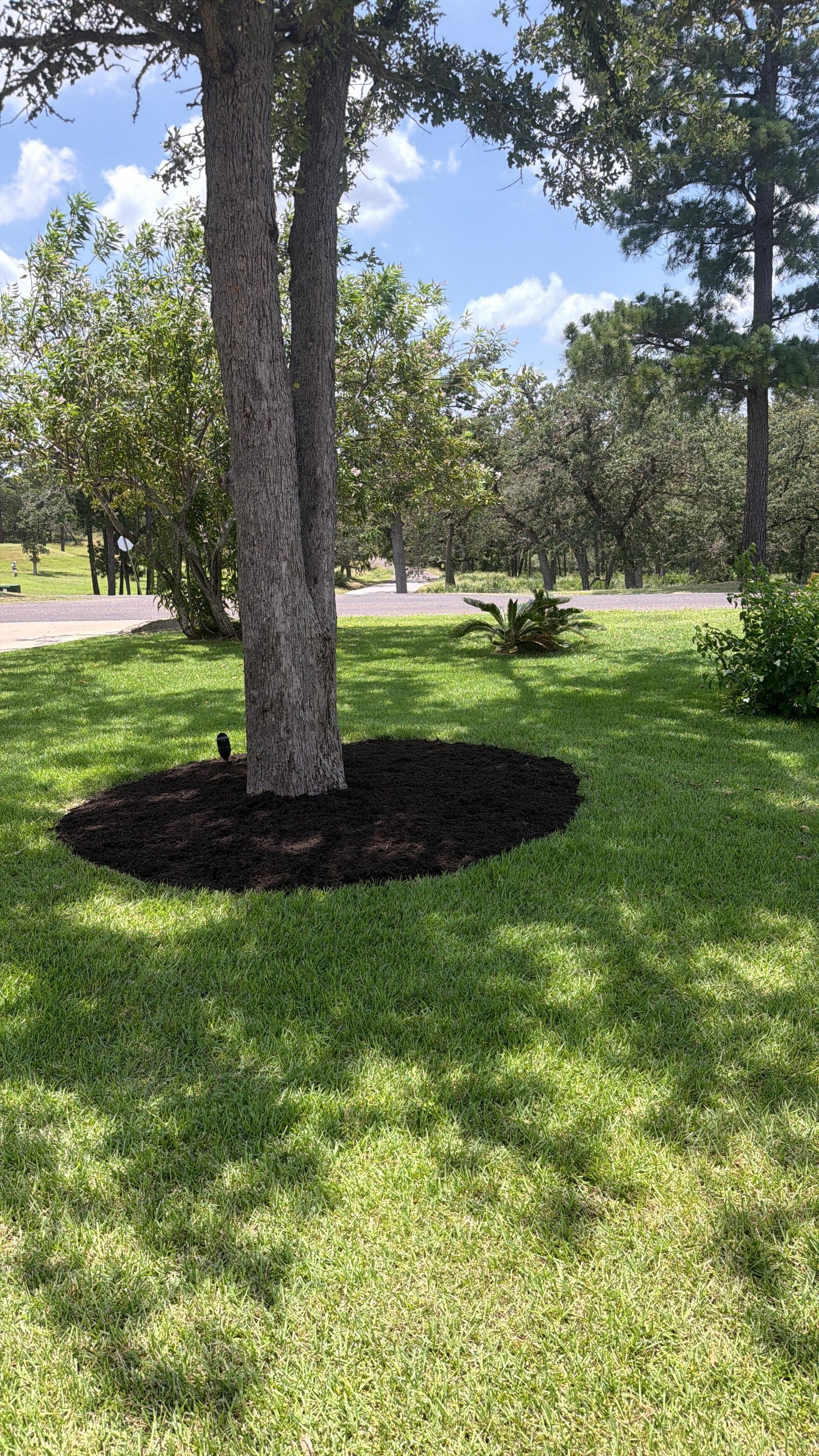  for Green Pastures Lawn Care in Bastrop, TX