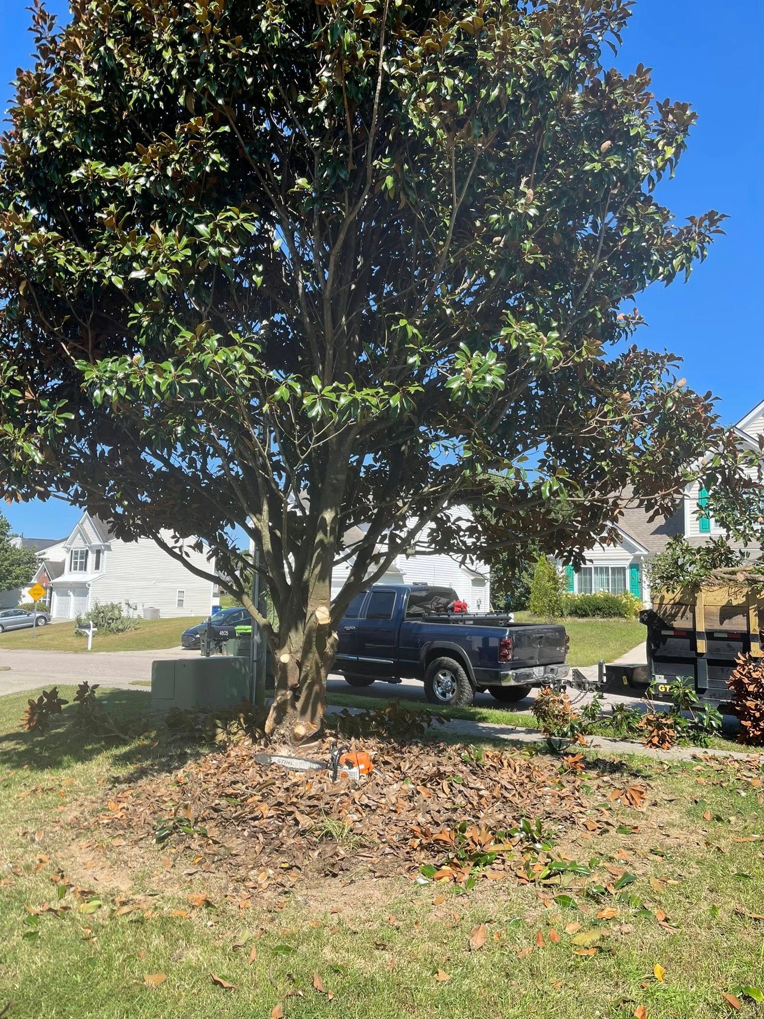  for J&J Tree Services in Raleigh, NC