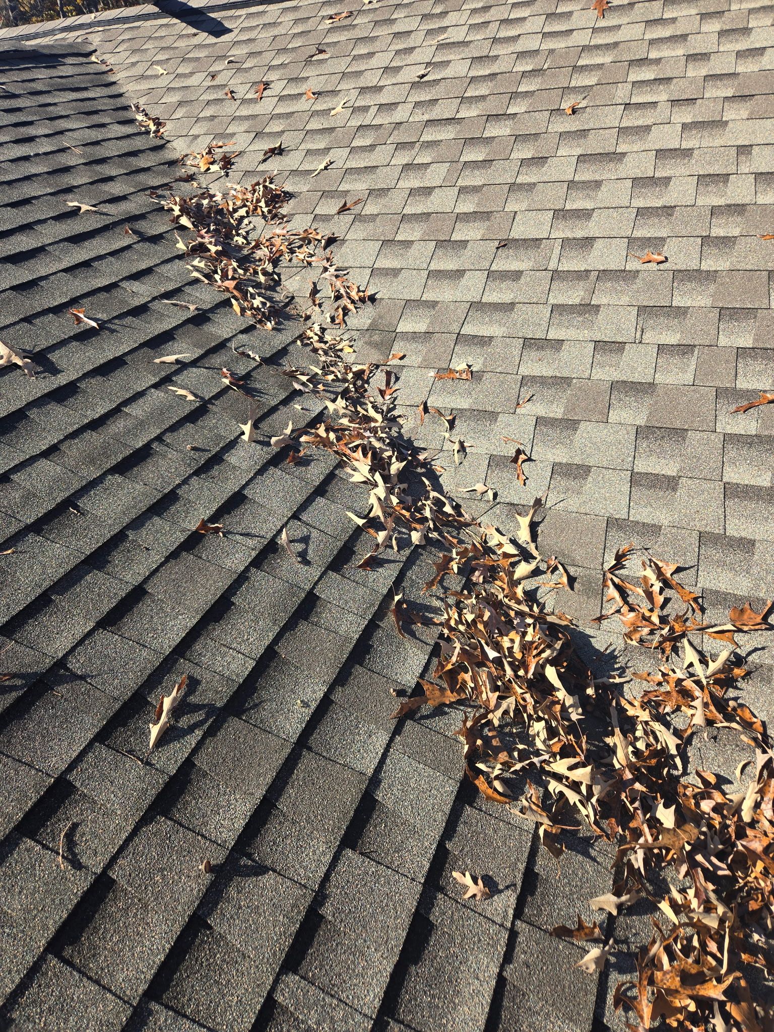  for Squeaky Clean Windows Gutters & More in Hoover, AL