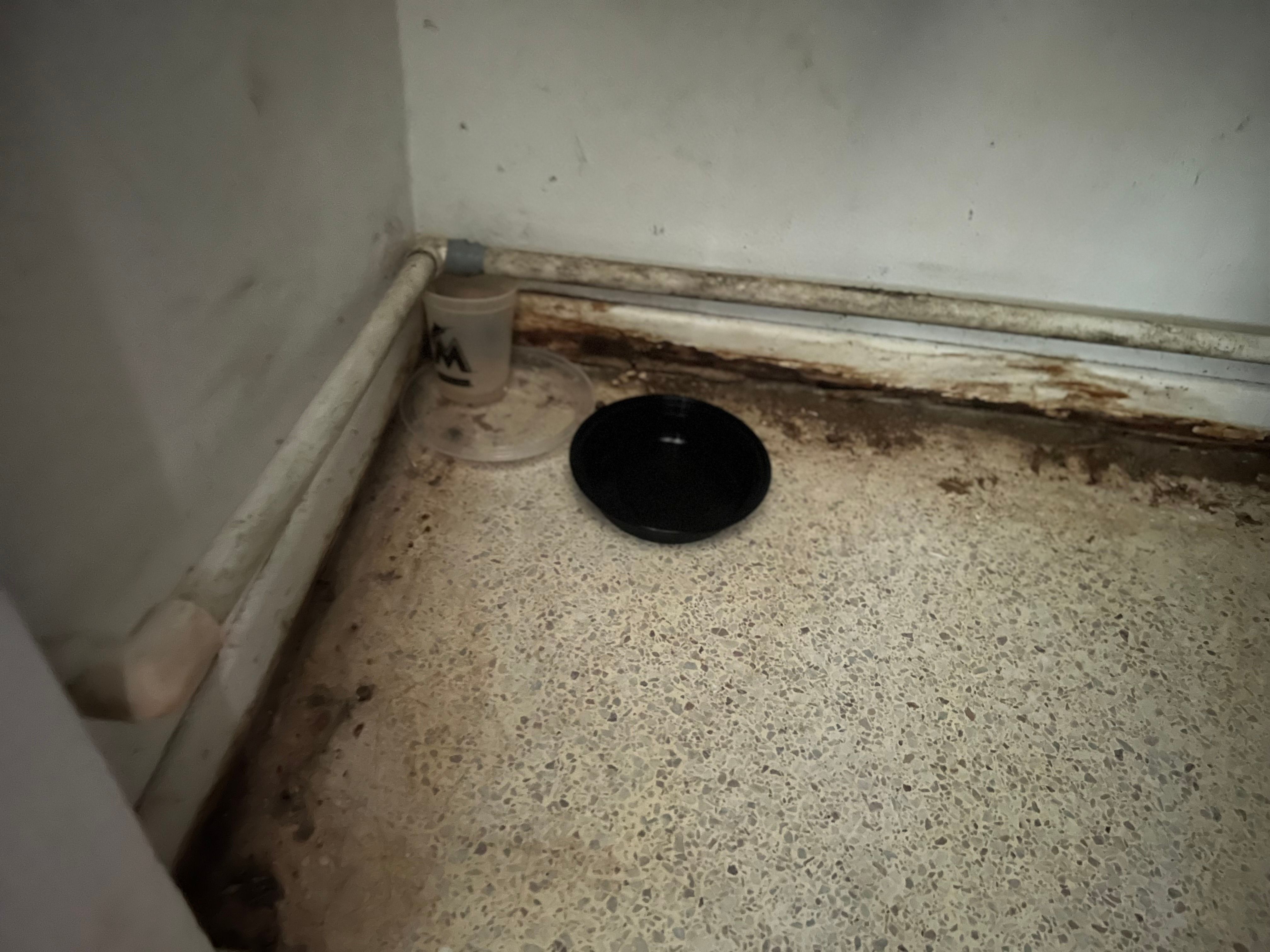  for N&D Restoration Services When Disaster Strikes, We Come In in Cape Coral,  FL