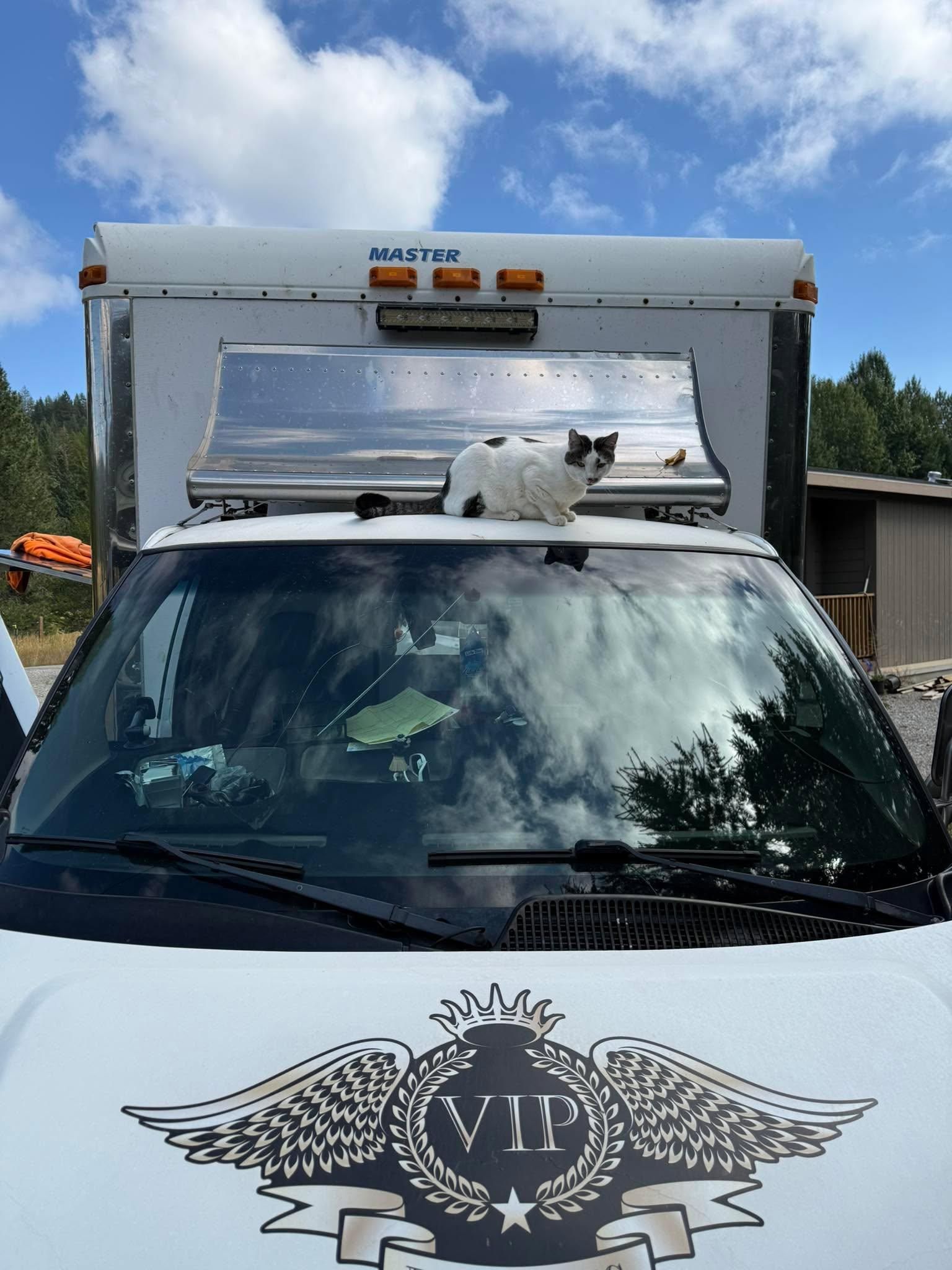  for V.I.P Plumbing in Sandpoint, ID