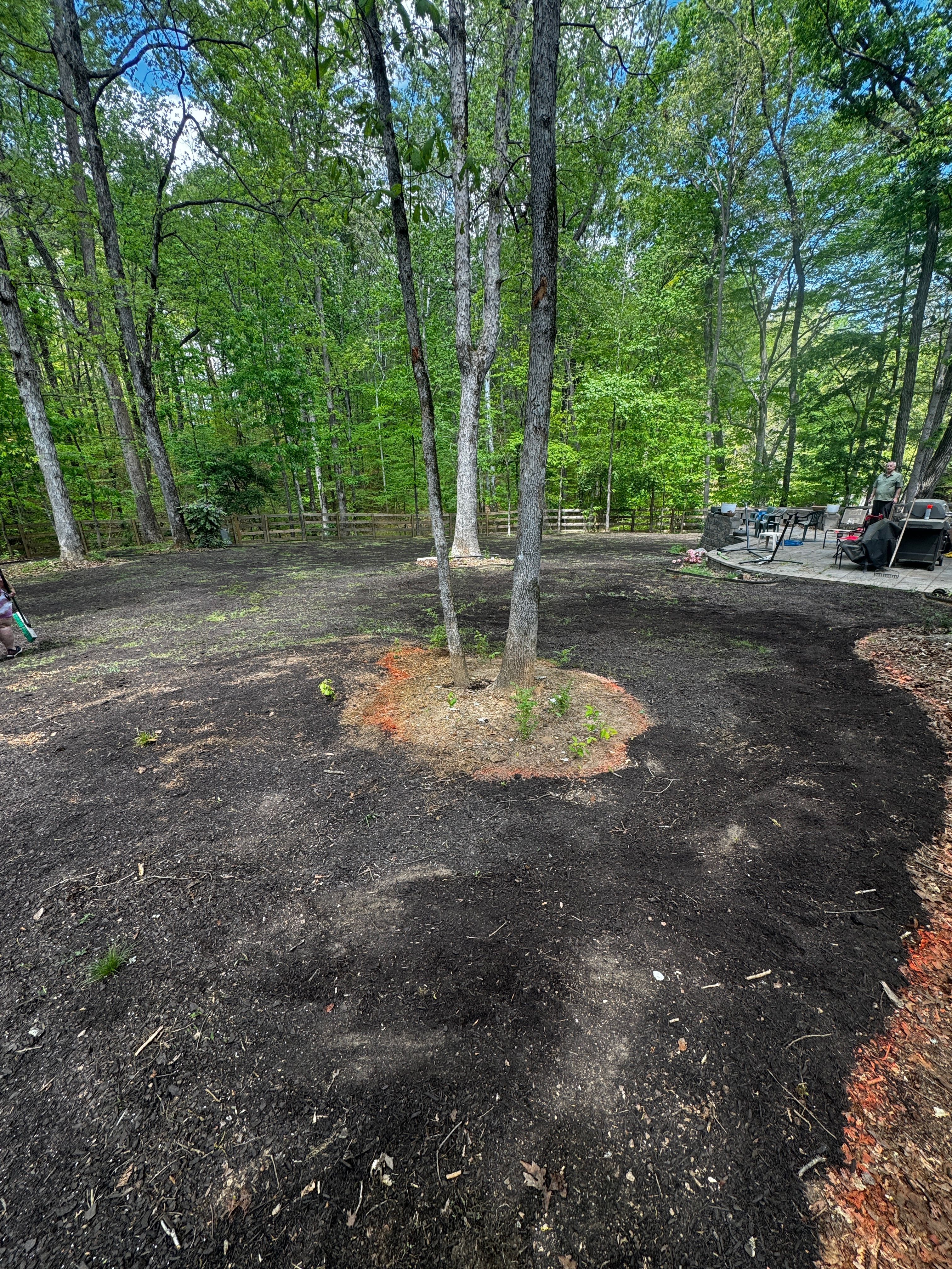 All Photos for Deeply Rooted Lawns – Hydroseeding & Sod Installation Services in Winder, GA