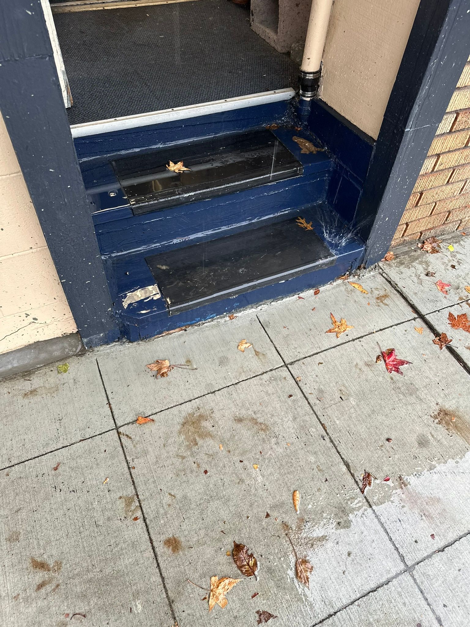  for Tony's Remodeling & Painting in Renton, WA