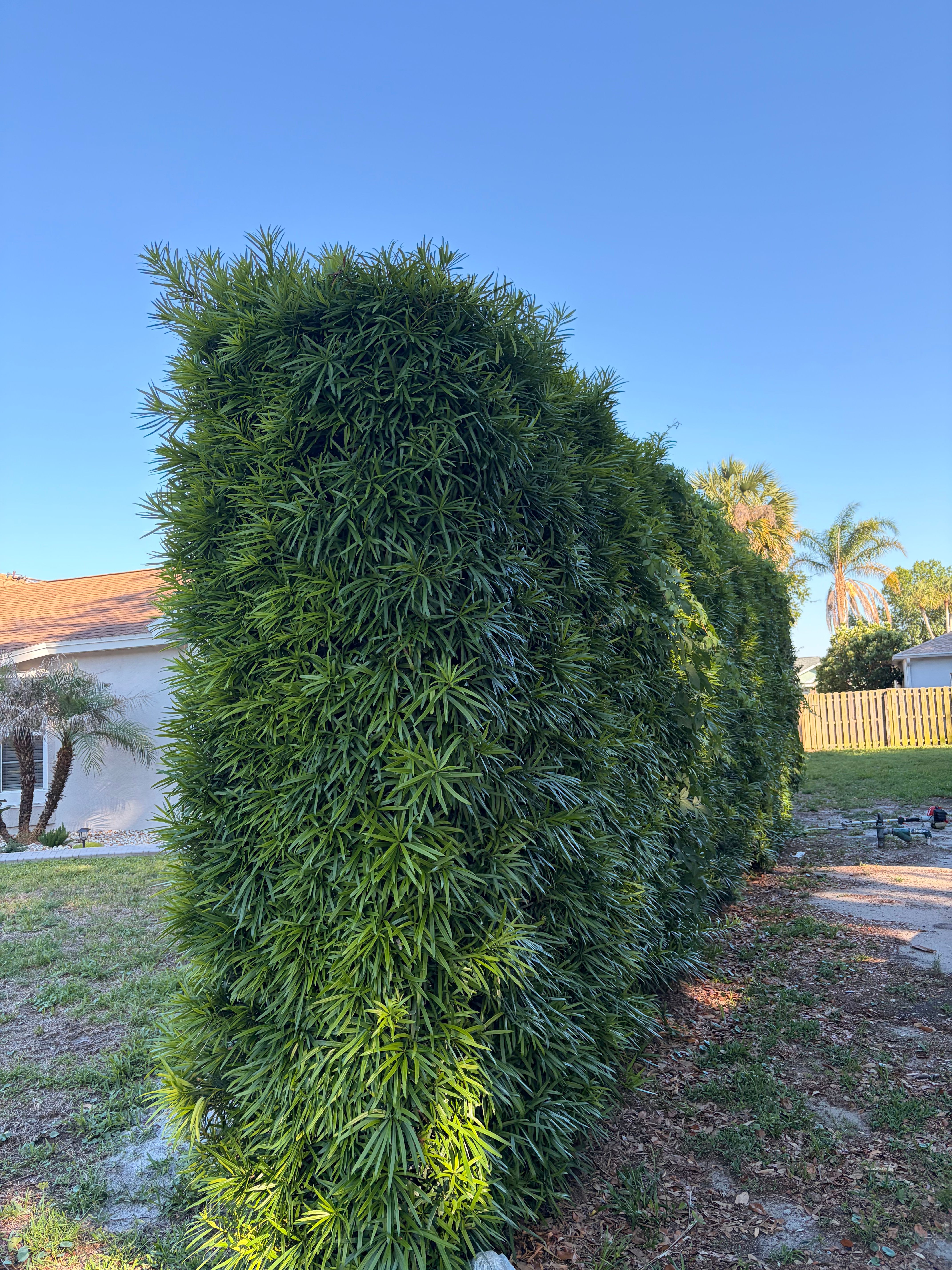  for Vanic's Landscaping in Port Orange, FL