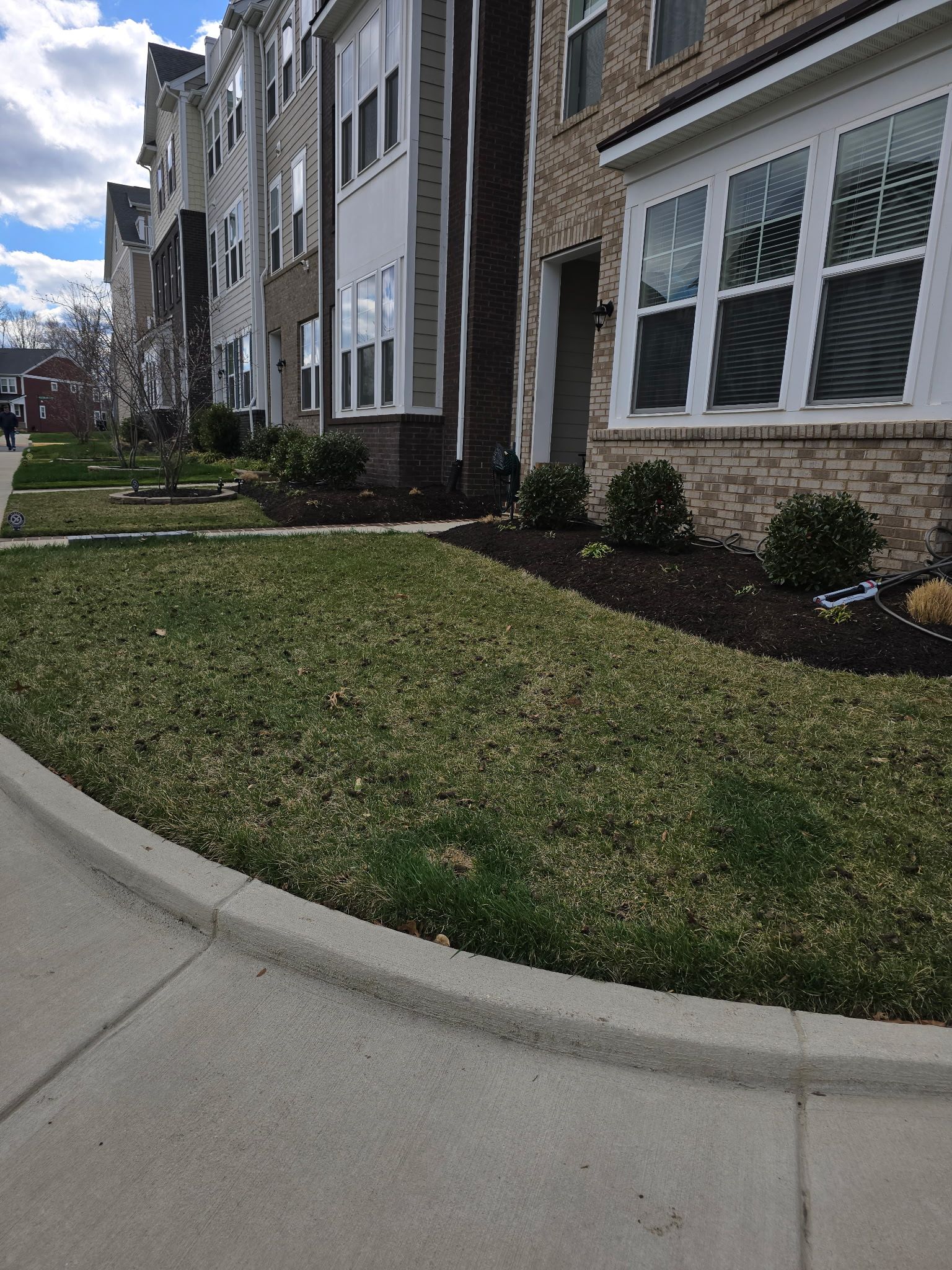  for W D Giampa Lawns and Landscape Inc. in Manassas, VA