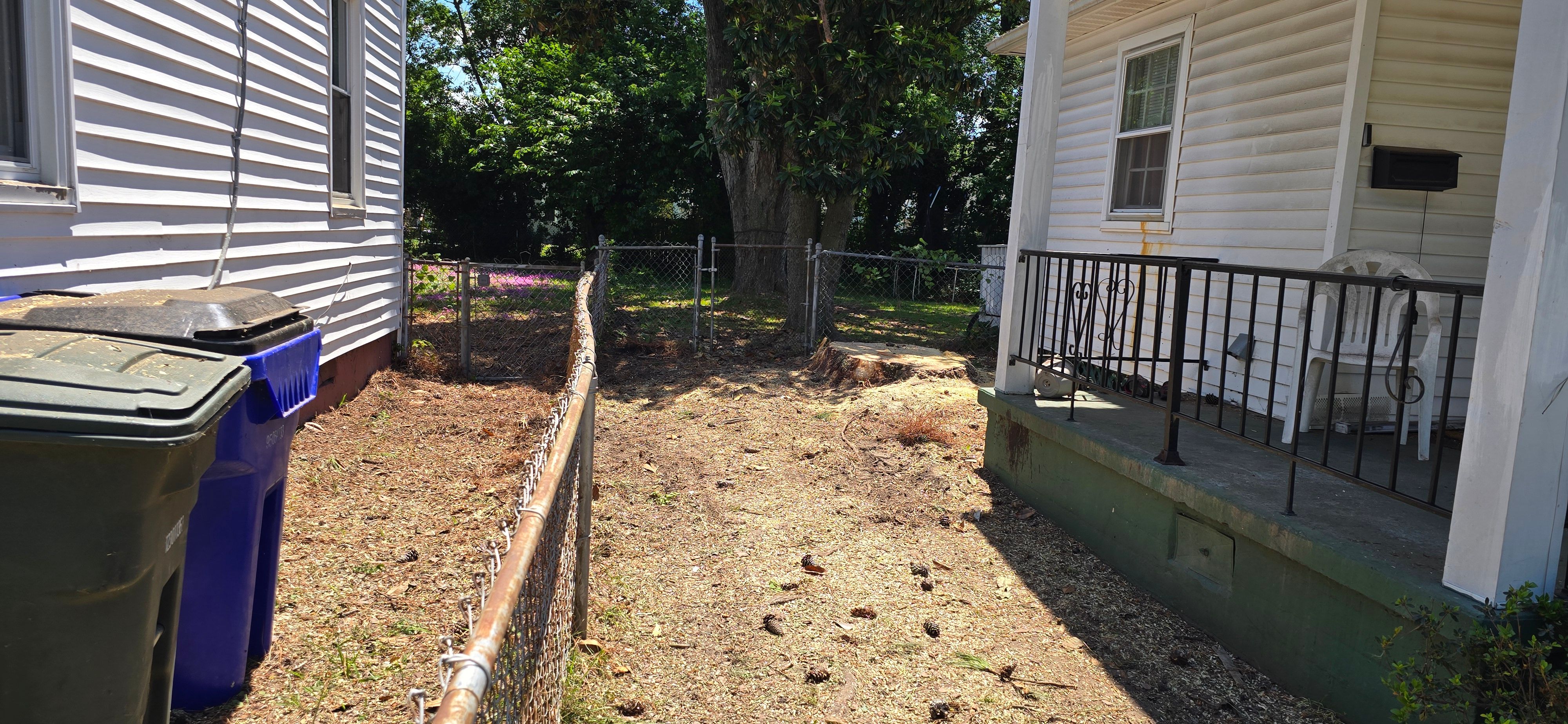  for Beach Tree Care in Virginia Beach, VA