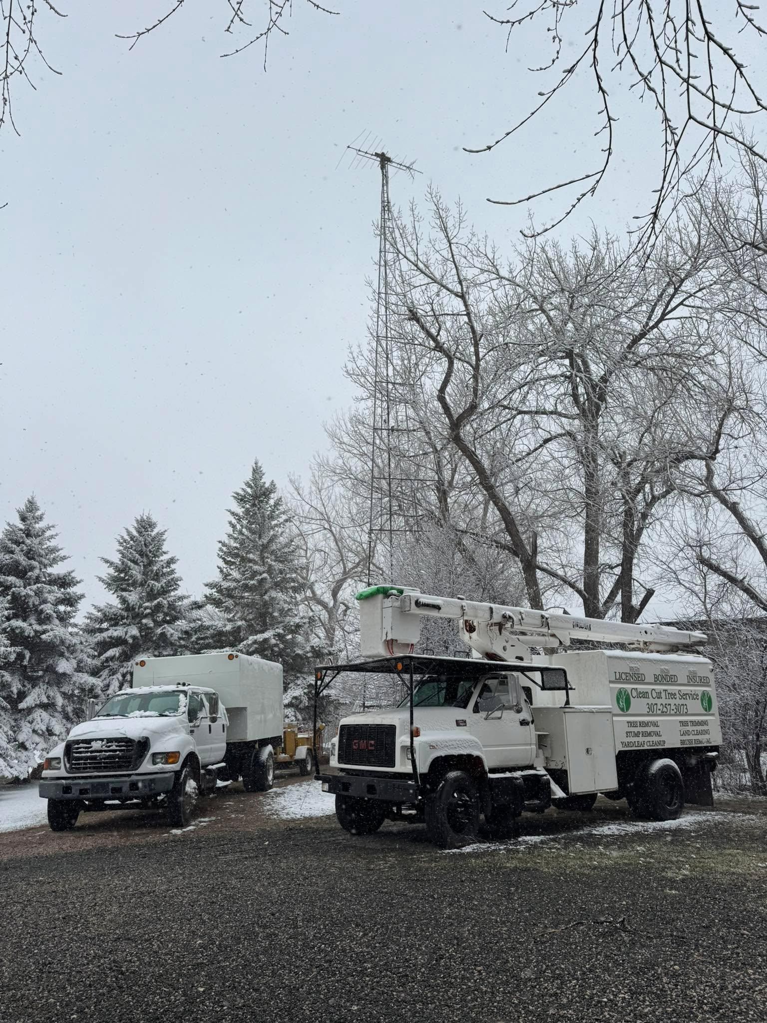  for Clean Cut Tree Service in Gillette, WY
