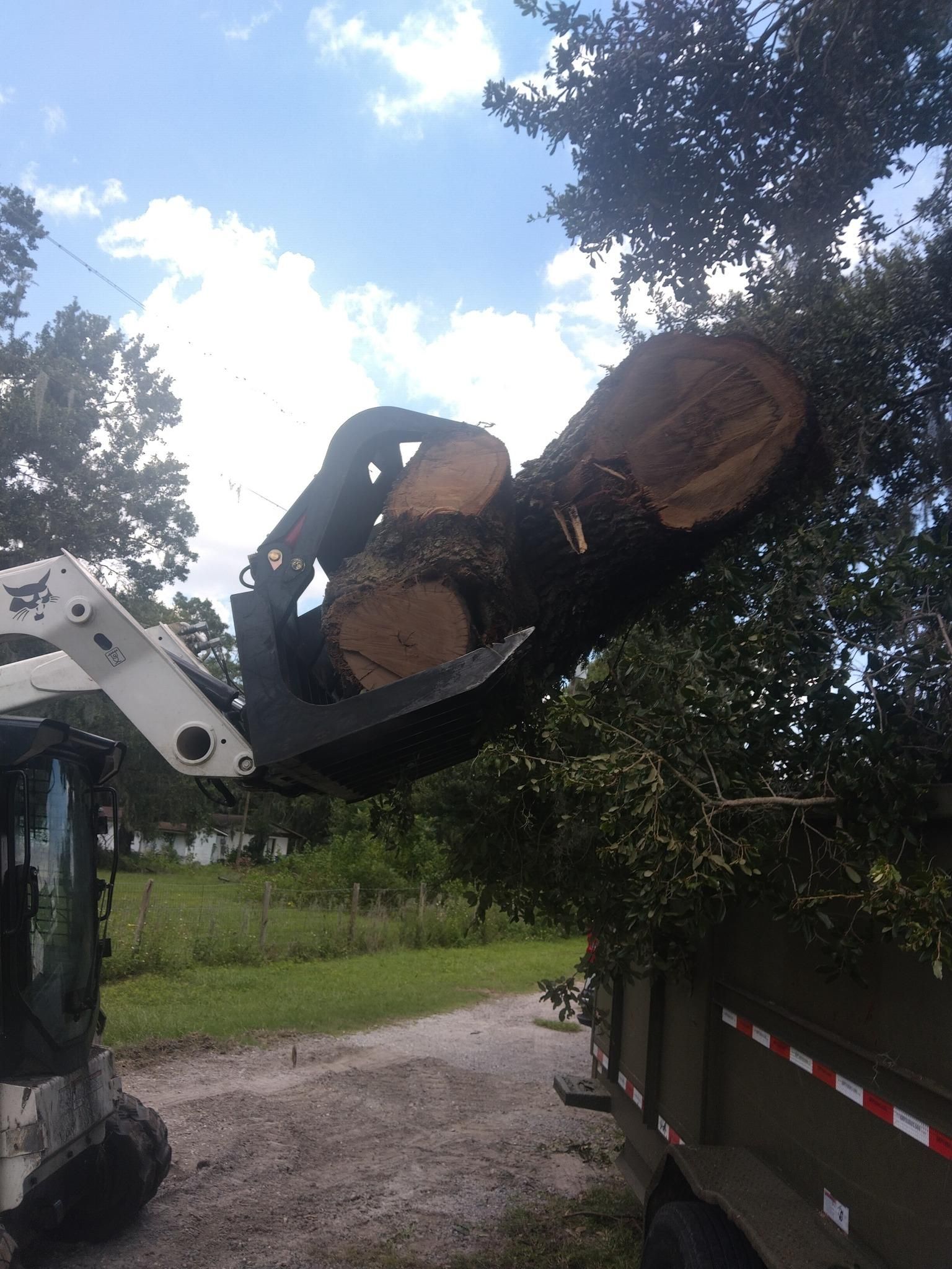  for Bills Tree Service in Valrico, FL