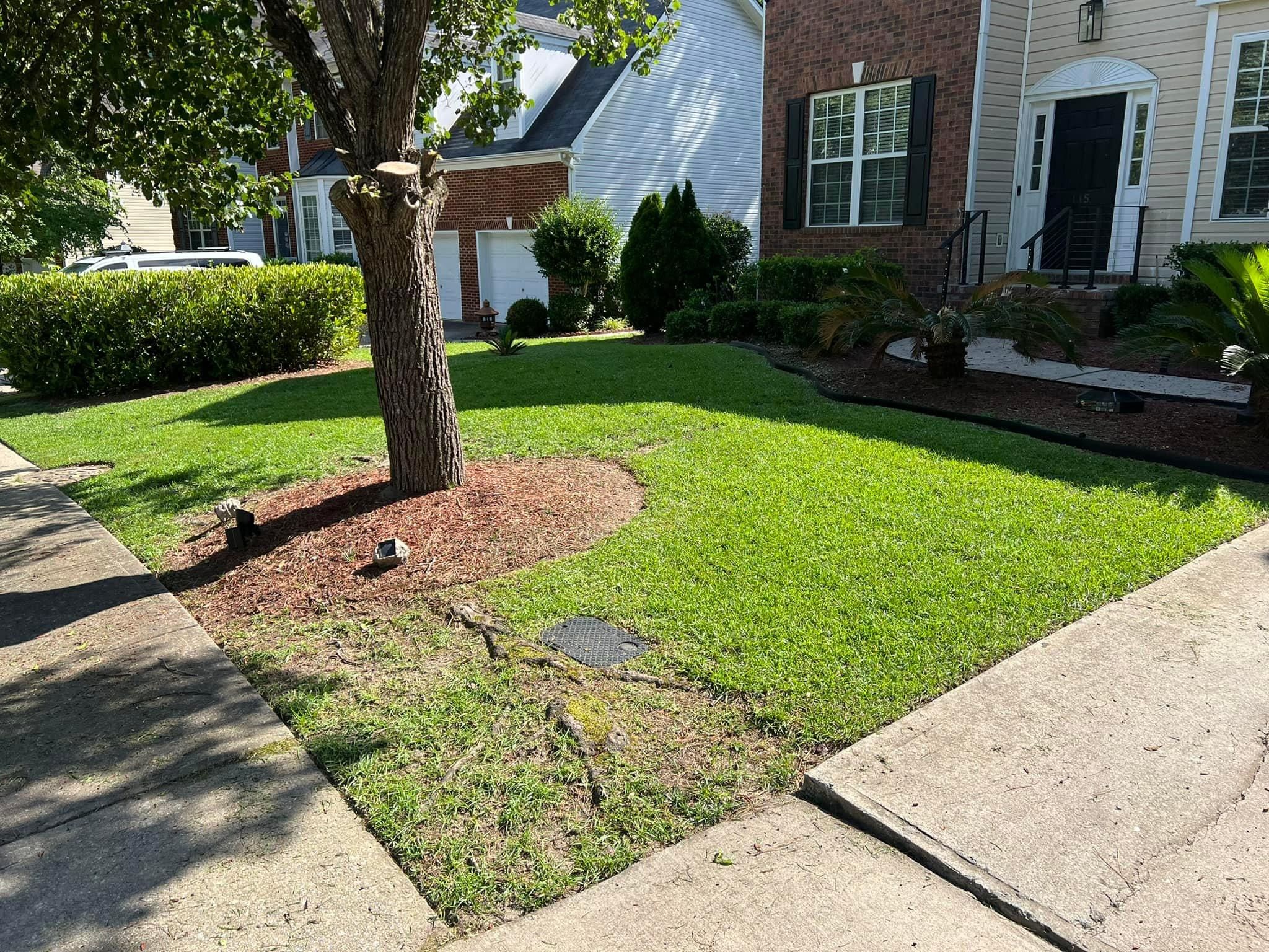  for Shang's Landscaping Service in Columbia, South Carolina