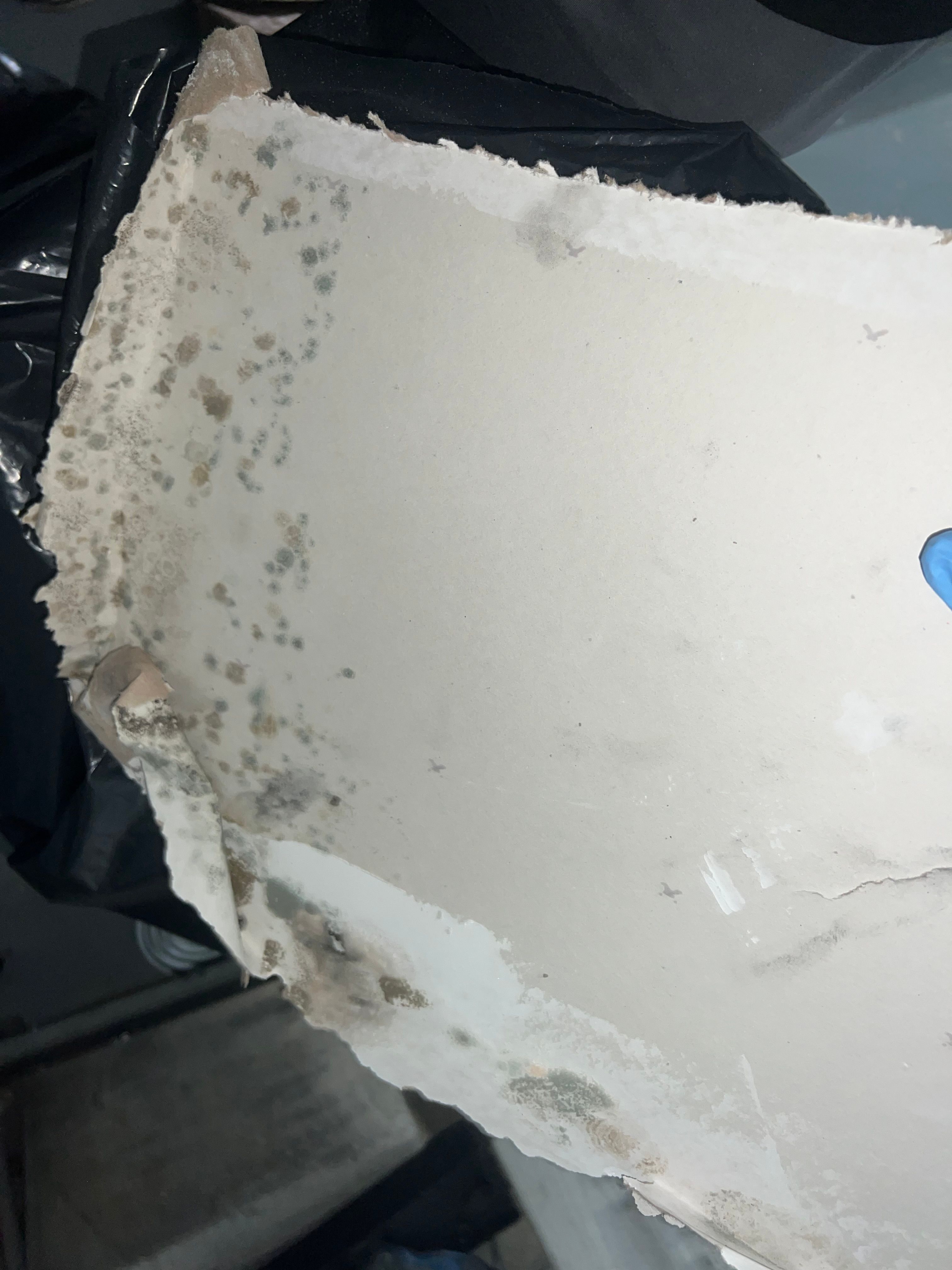  for N&D Restoration Services When Disaster Strikes, We Come In in Cape Coral,  FL