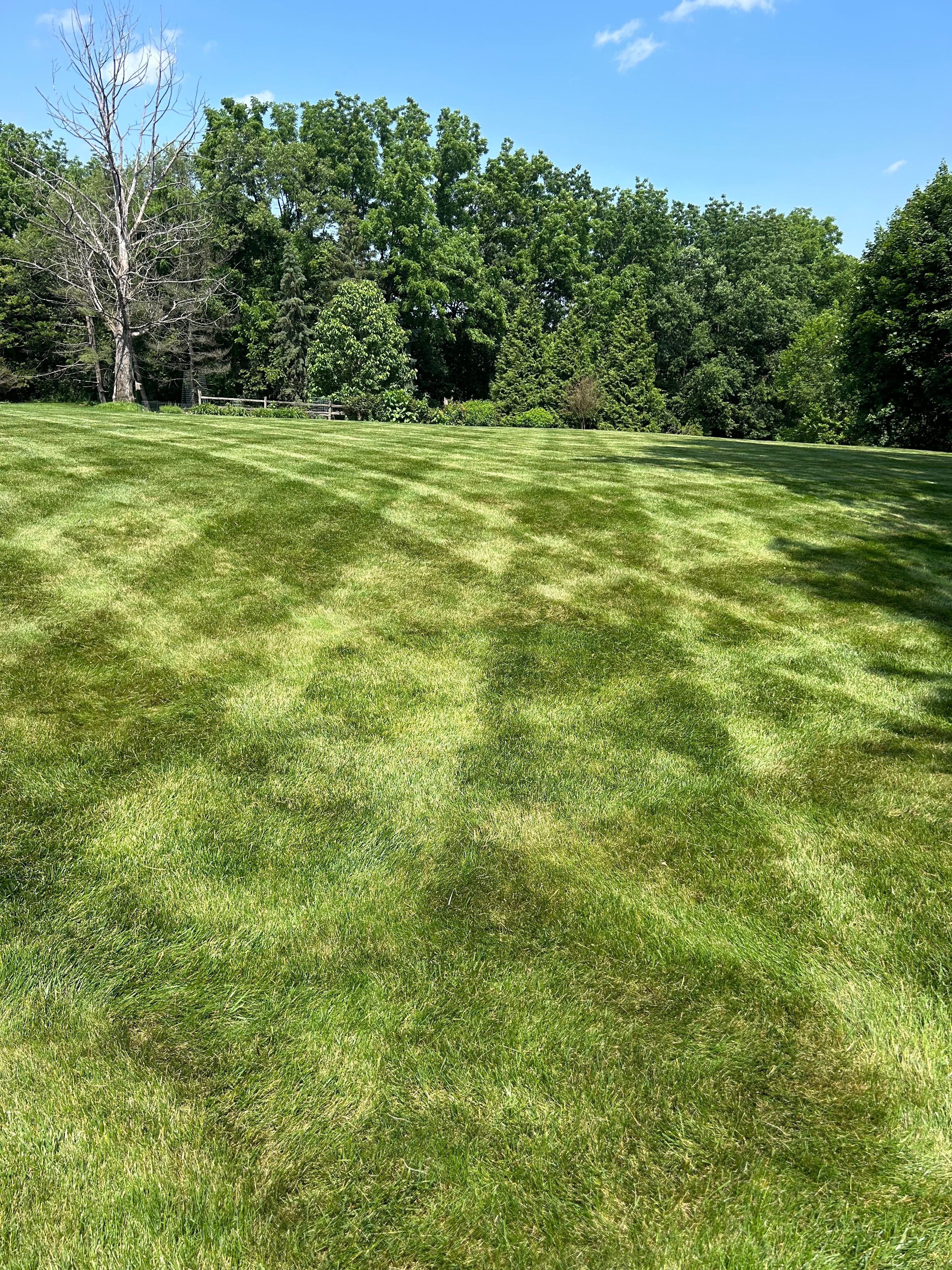 All Photos for J & T Landscaping Services in Mechanicsburg, PA