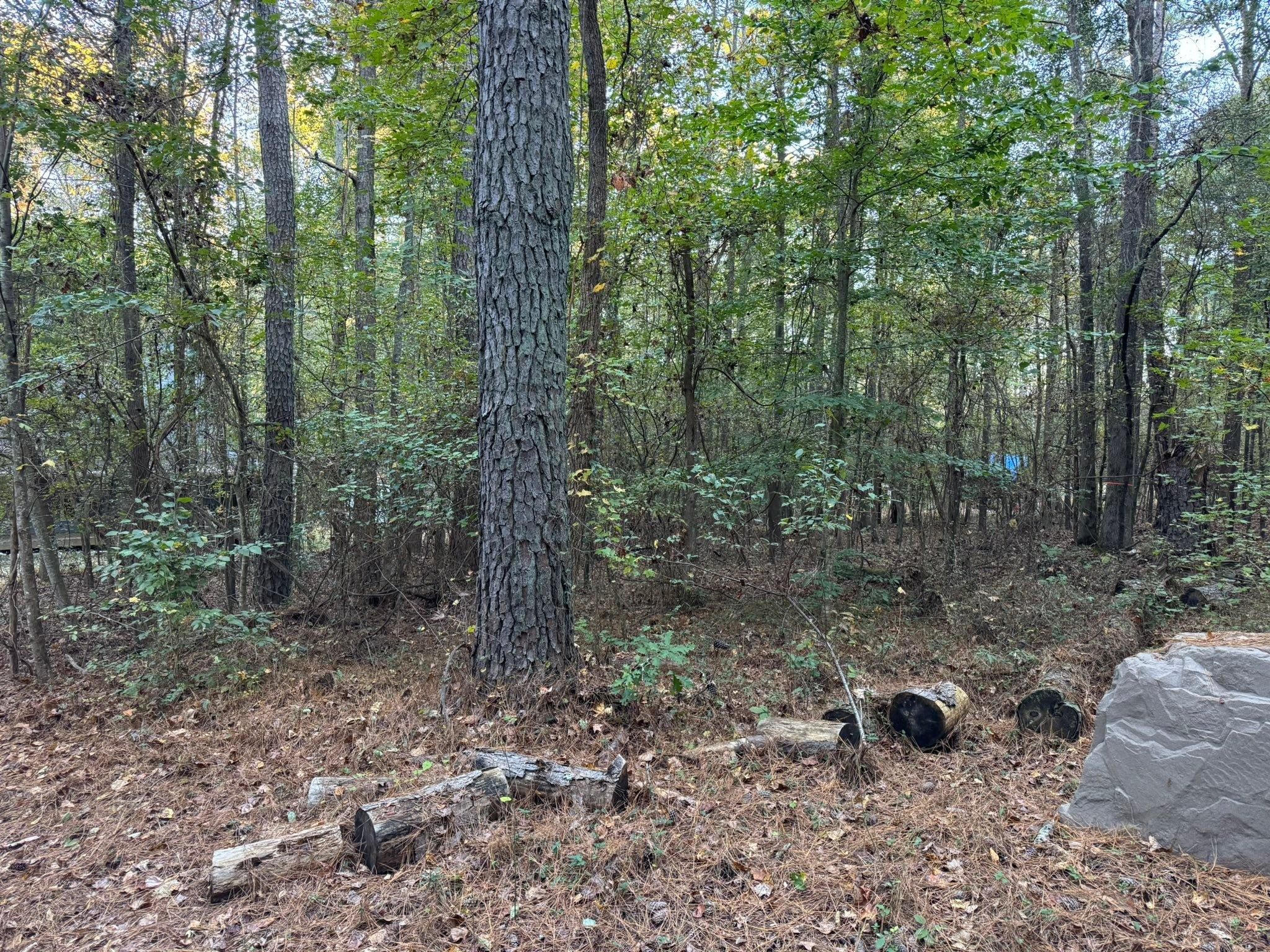  for KLNAX Enterprises in Newton County, GA