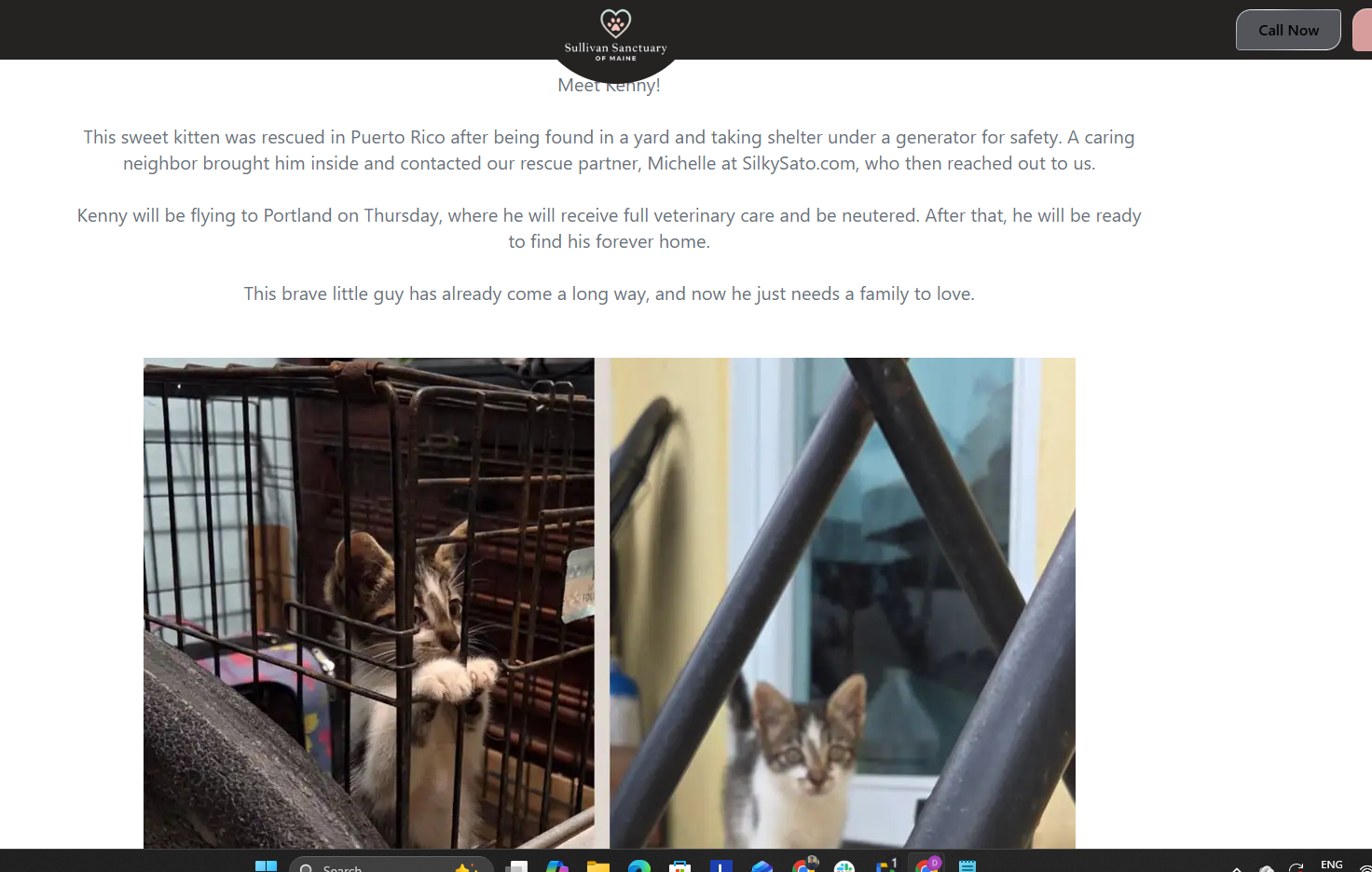  for Premier Rockwall & Excavating in Utah County, UT