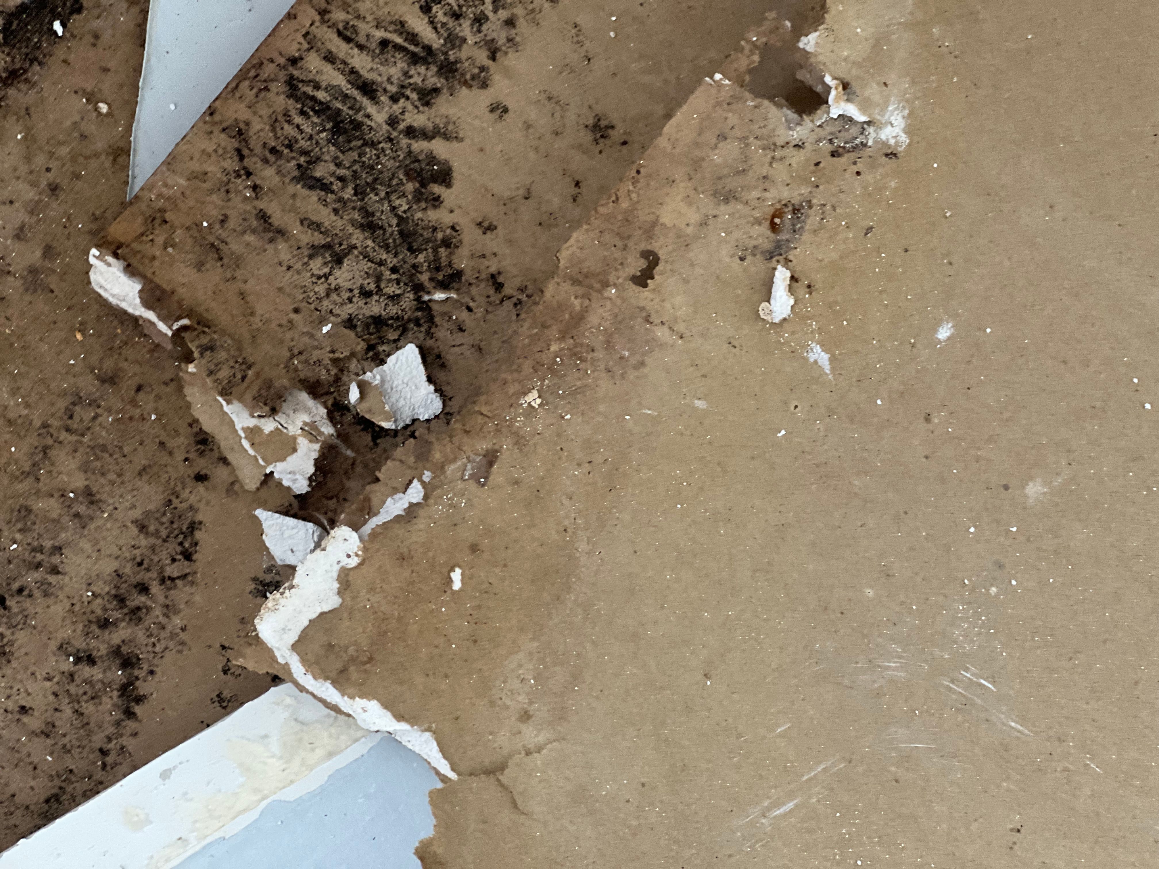  for N&D Restoration Services When Disaster Strikes, We Come In in Cape Coral,  FL