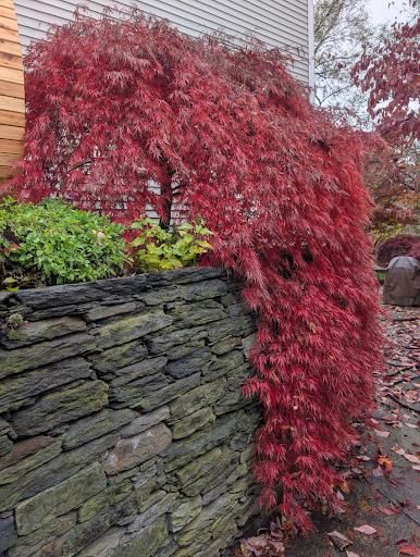  for Evolution Earthscapes, LLC in Ludlow, MA