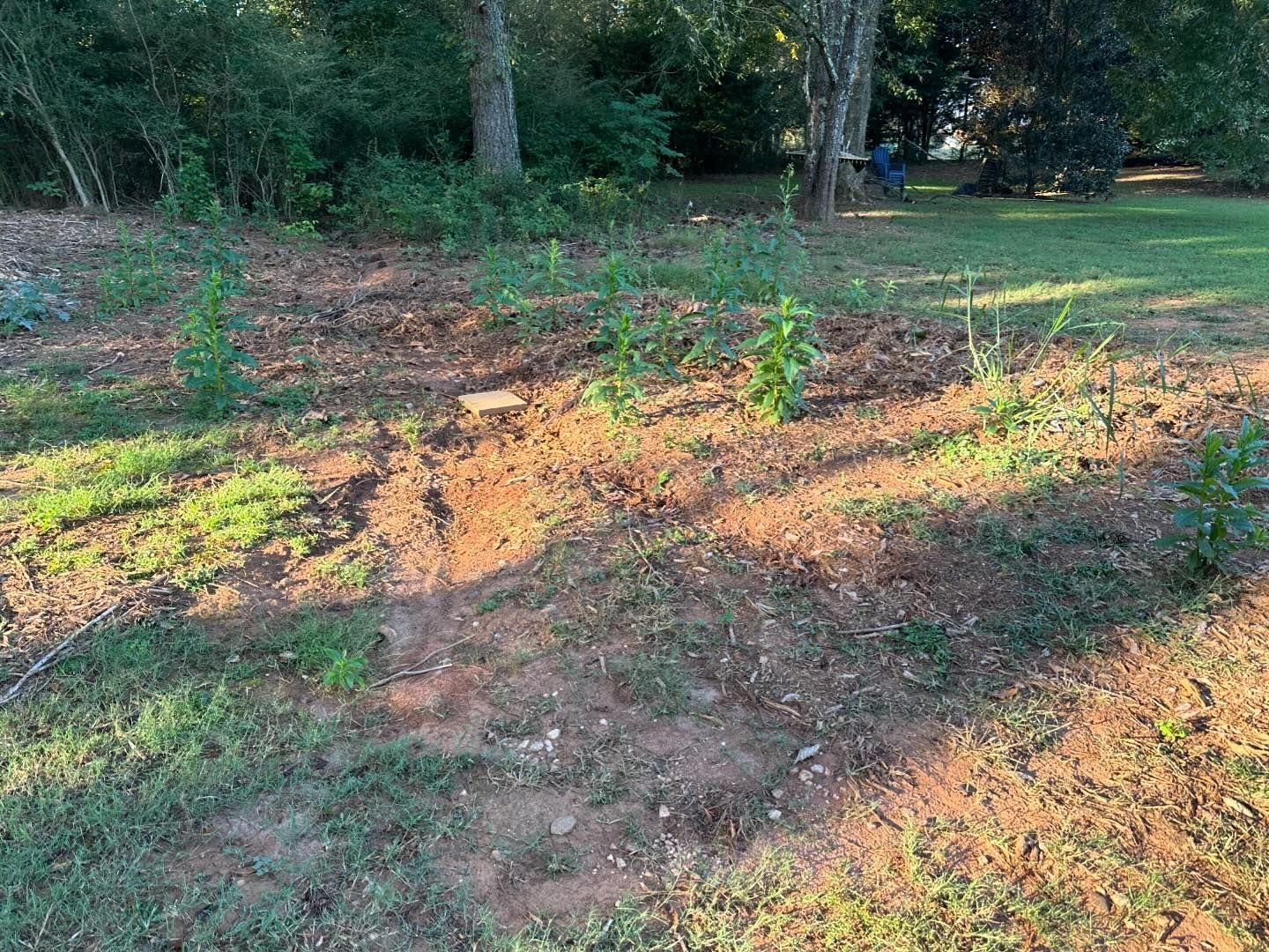  for Dirt Pro Land Solutions in Fayetteville, GA