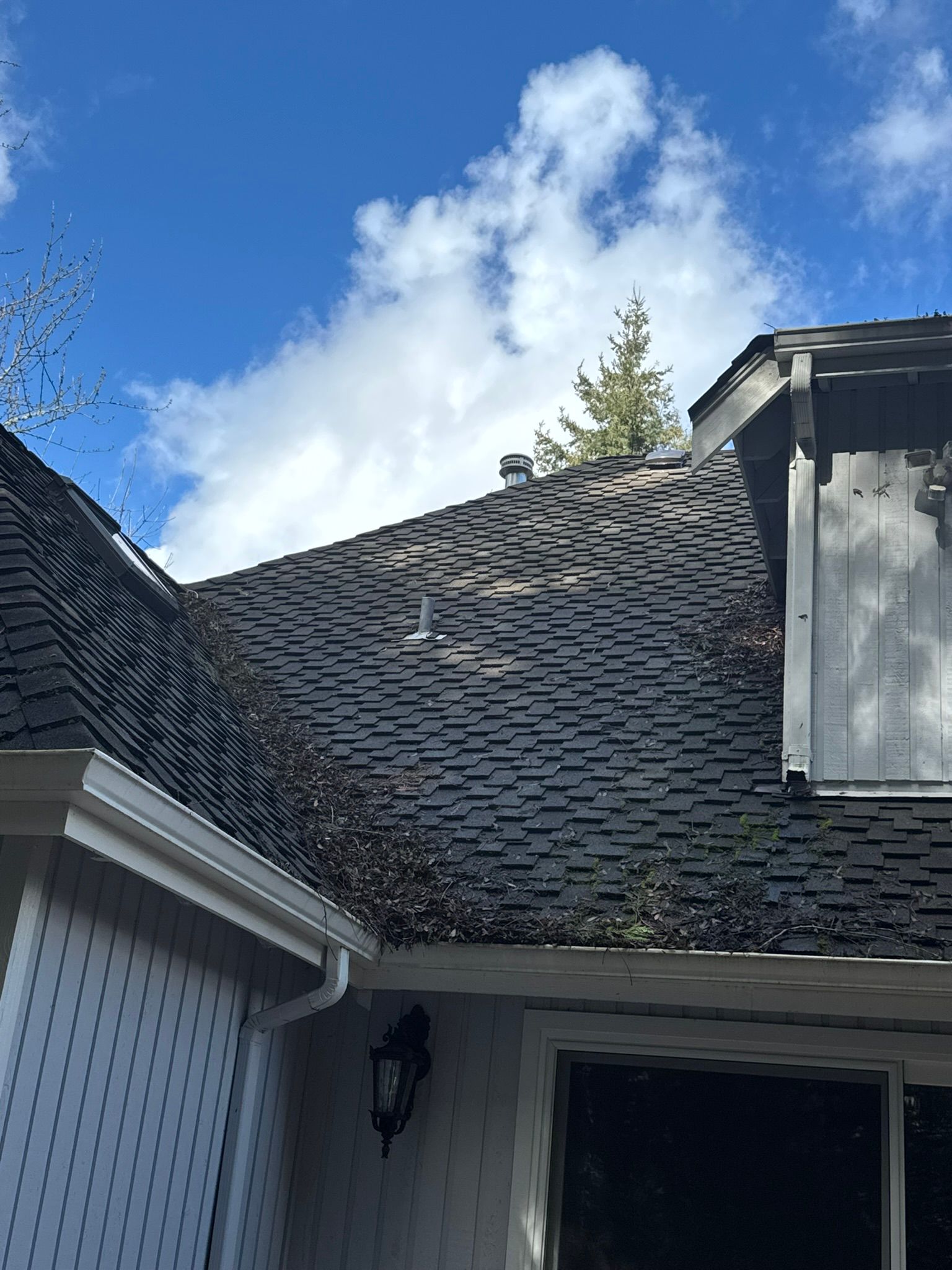  for Tony's Remodeling & Painting in Renton, WA