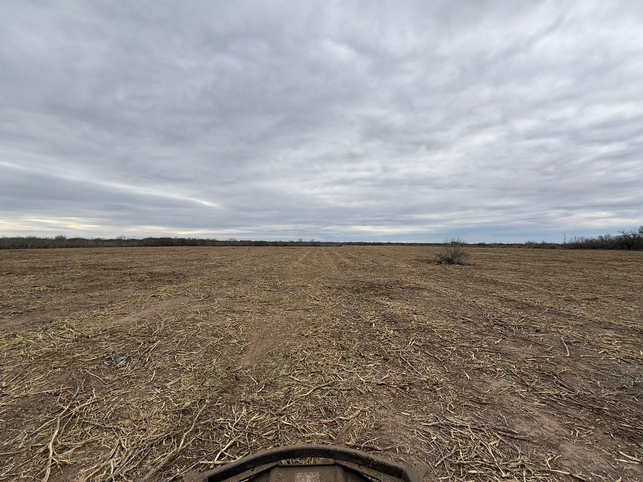  for Strause Land Improvement & Construction in George West, TX