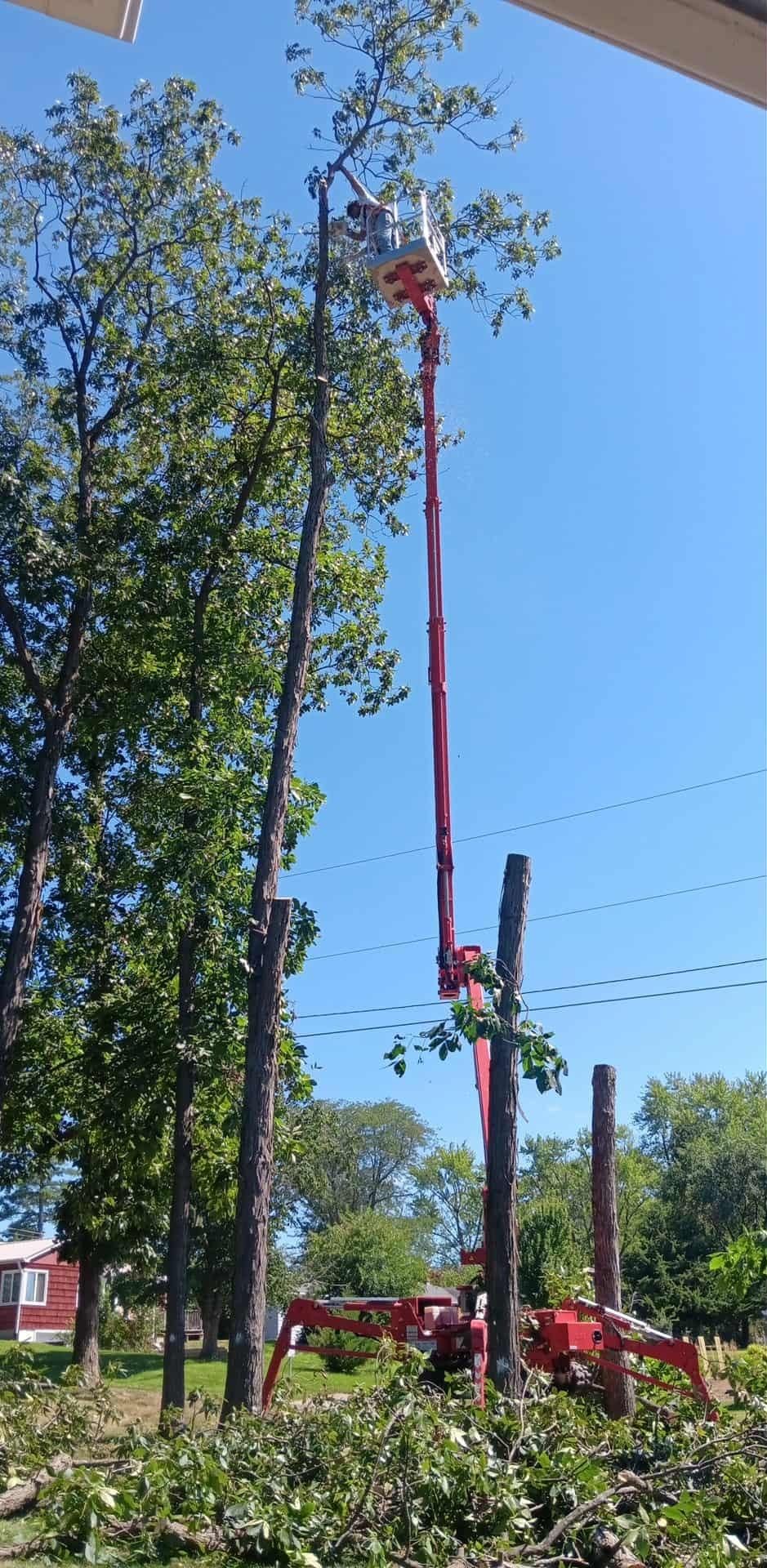  for Lawn Ranger Yard And Tree Service LLC in Ottumwa, IA