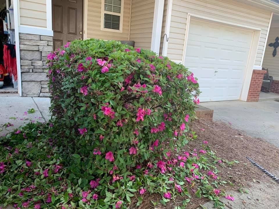 All Photos for Bega Landscape Services in Atlanta, Georgia