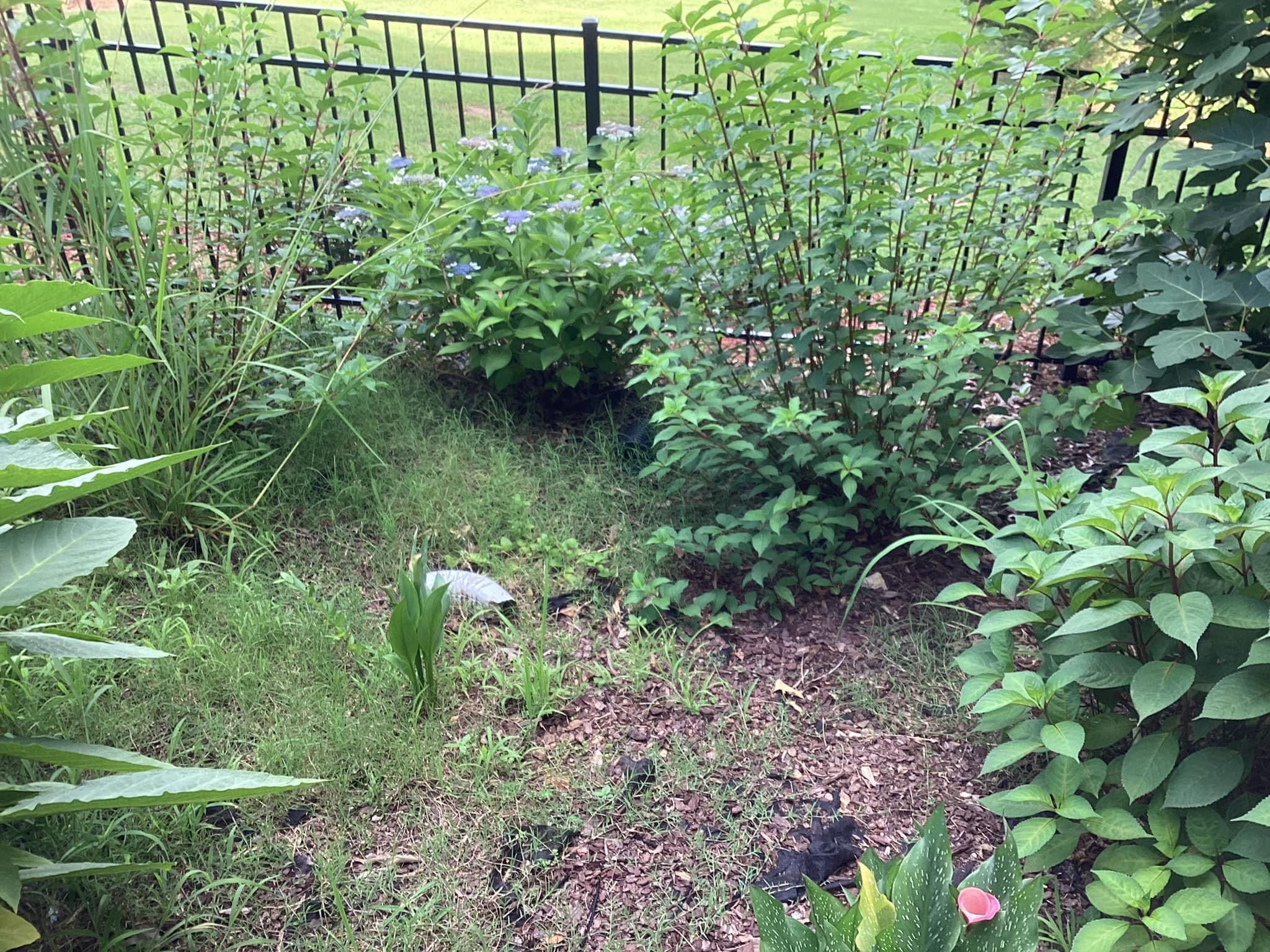  for Xtreme Landscaping & Lawn Care in Lincoln, AL